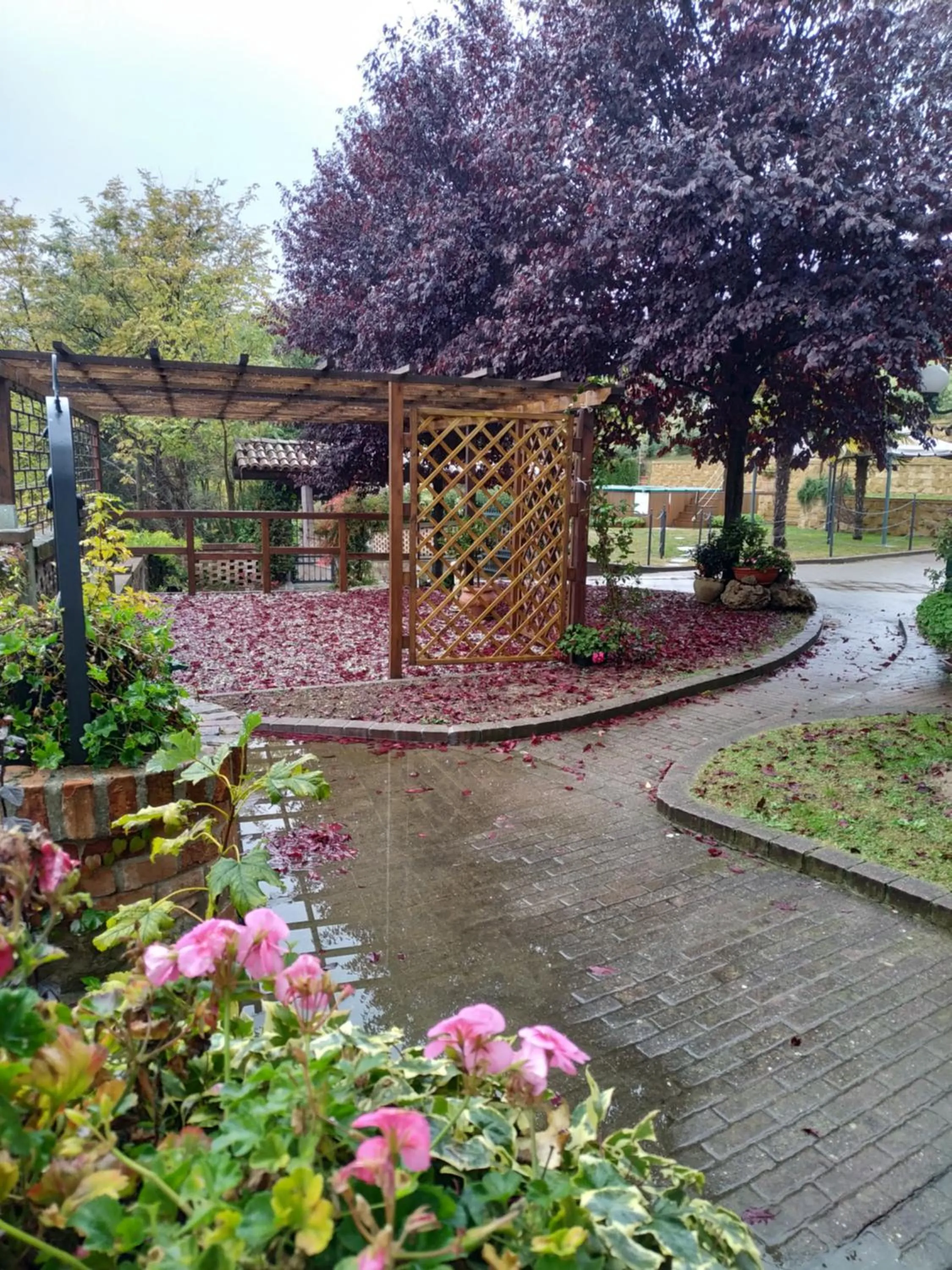 Garden in Bed And Breakfast Olimpia