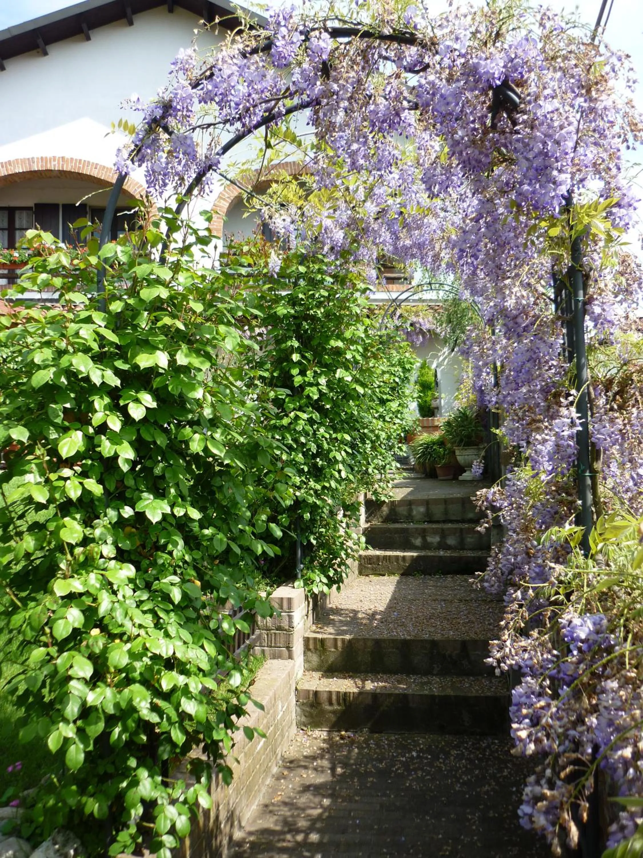 Garden in Bed And Breakfast Olimpia