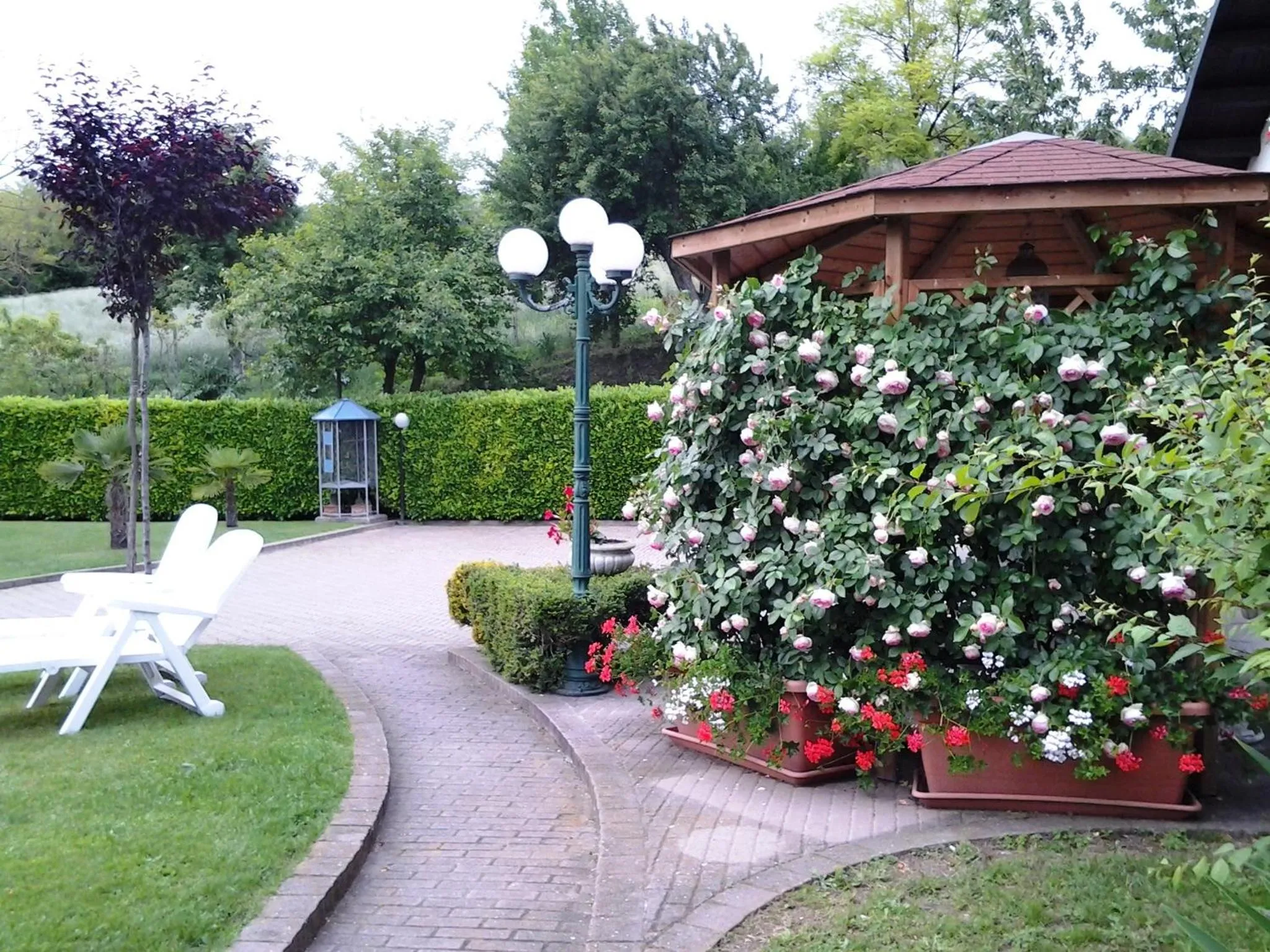 Garden in Bed And Breakfast Olimpia