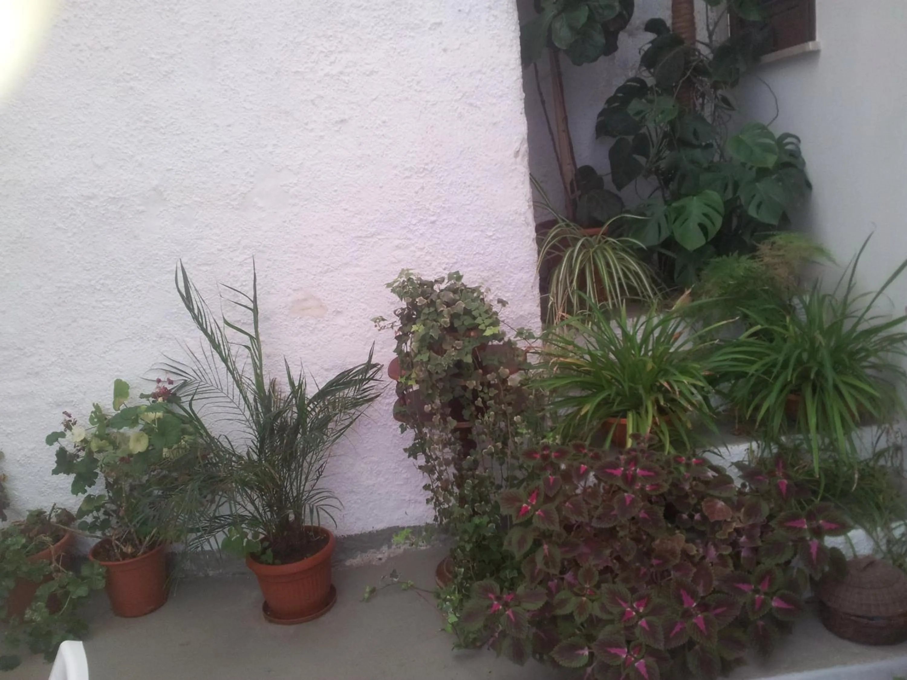 Decorative detail in B&B Da Matì