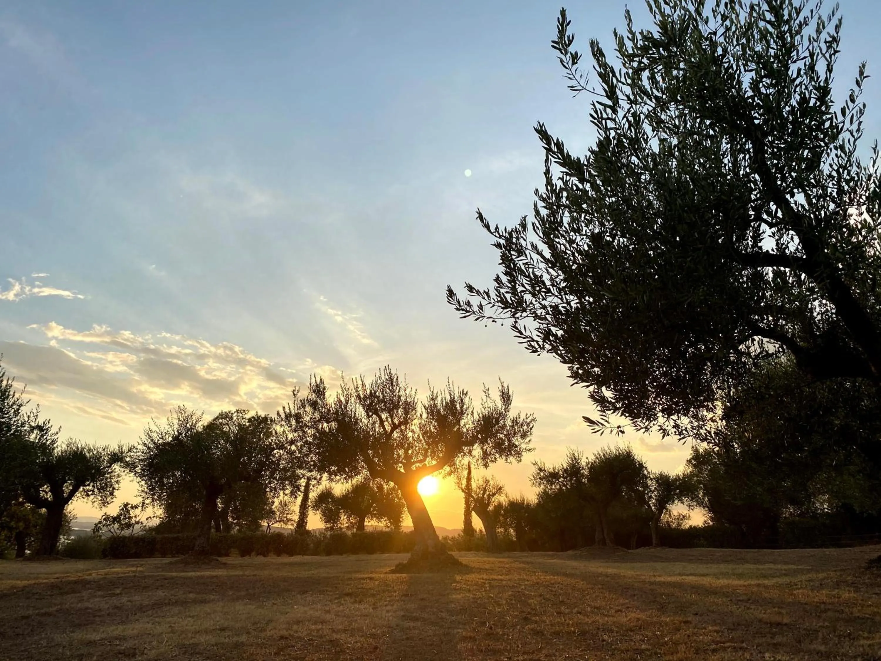 Garden in Antico Casale Tiravento
