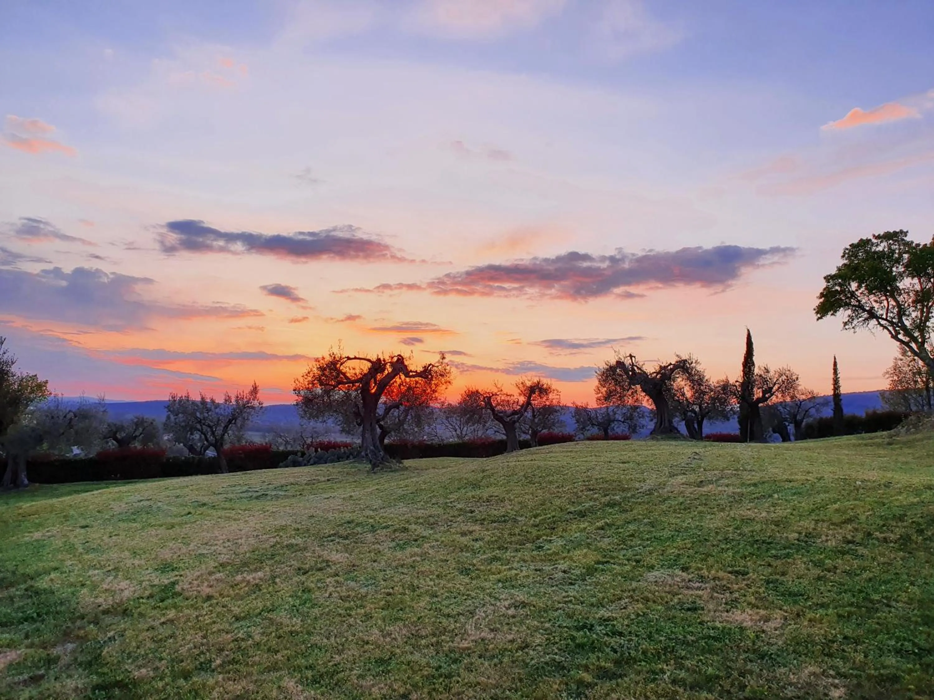 Garden in Antico Casale Tiravento