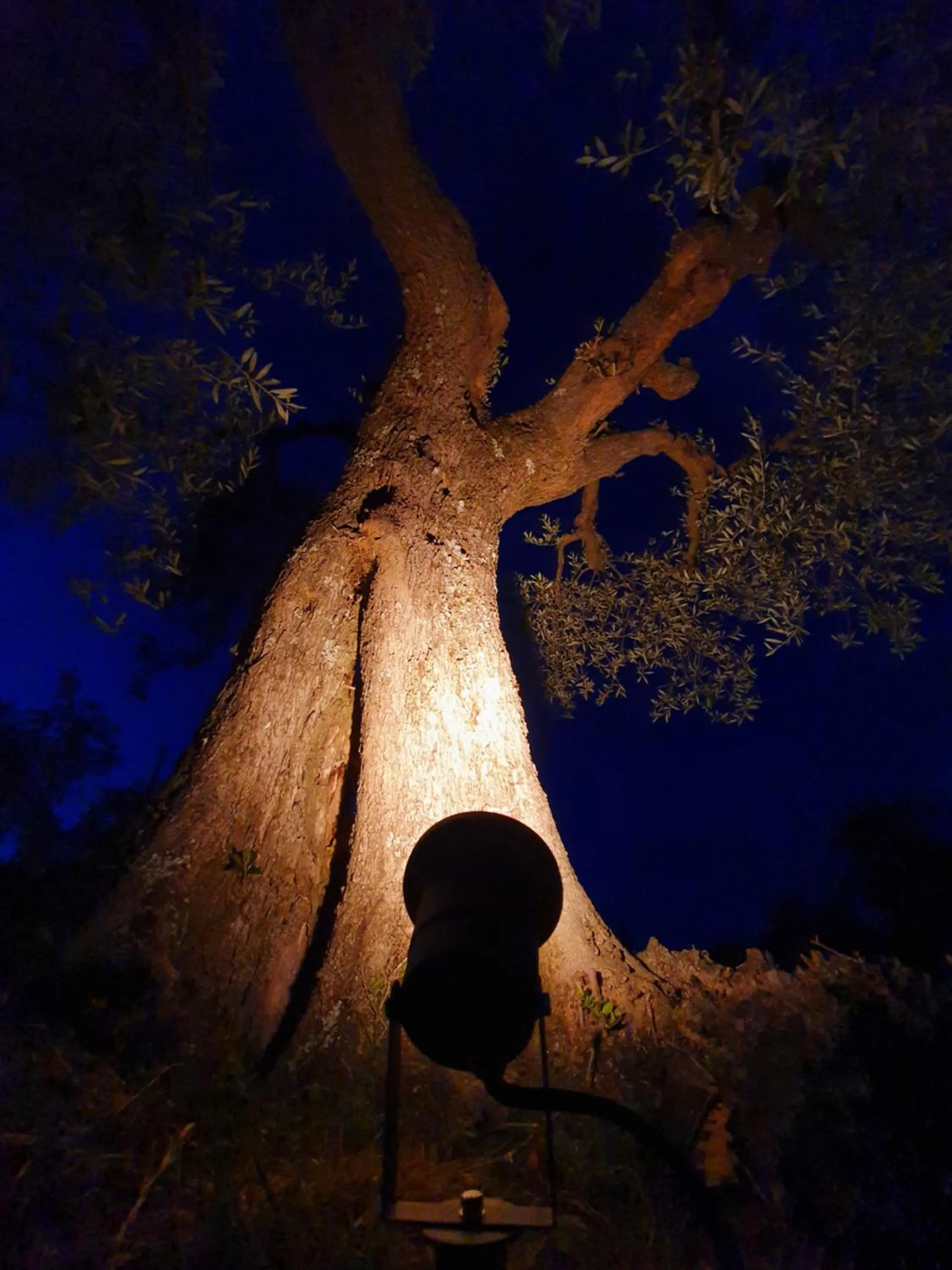 Garden in Antico Casale Tiravento