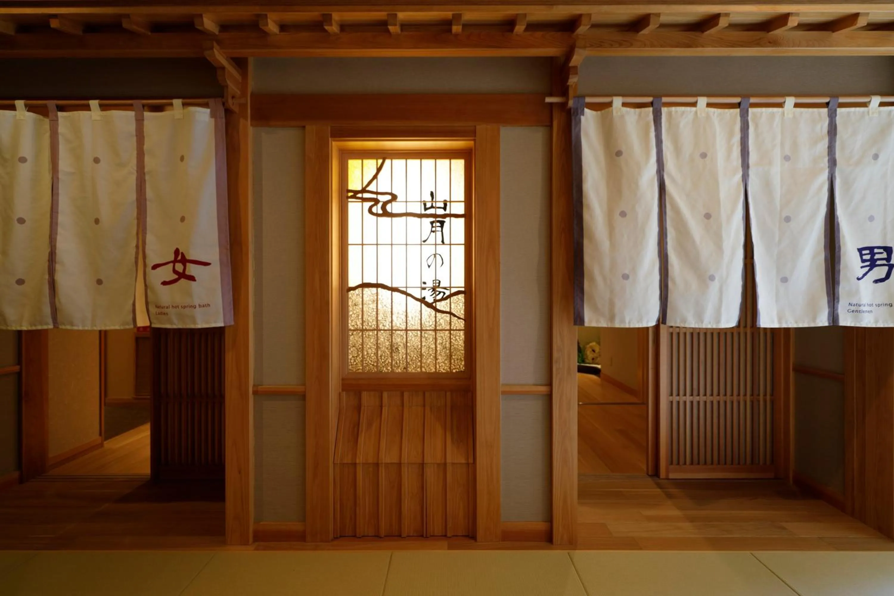 Public Bath in Yukemuri no Yado Inazumi Onsen