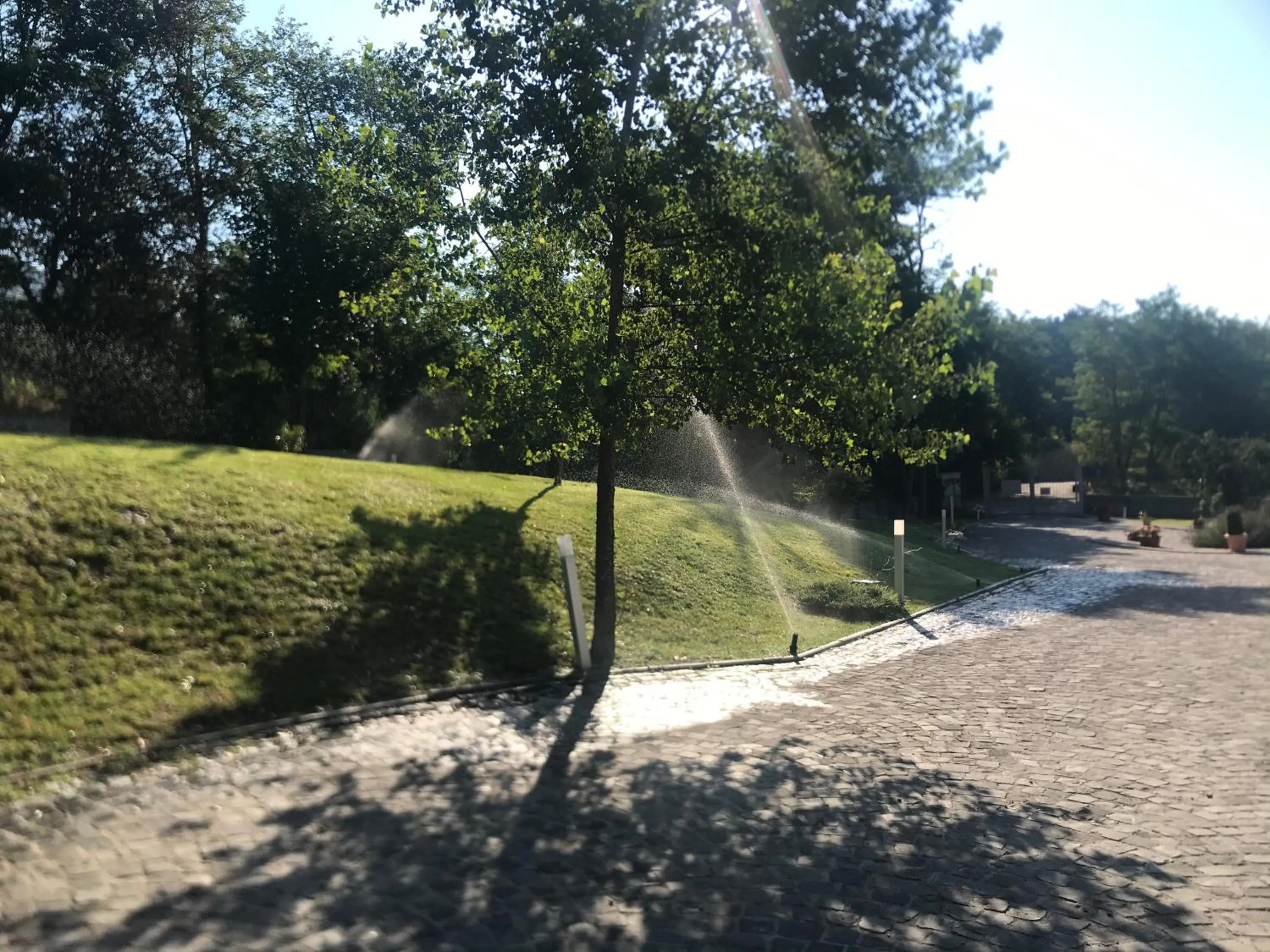 Garden in B&B Oasi Vetoio