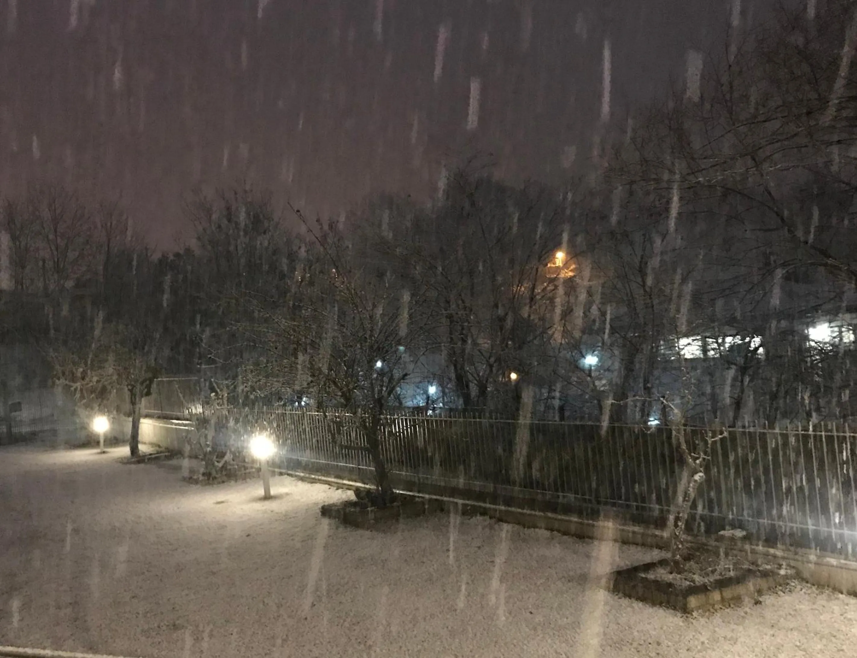 Garden view in B&B Oasi Vetoio