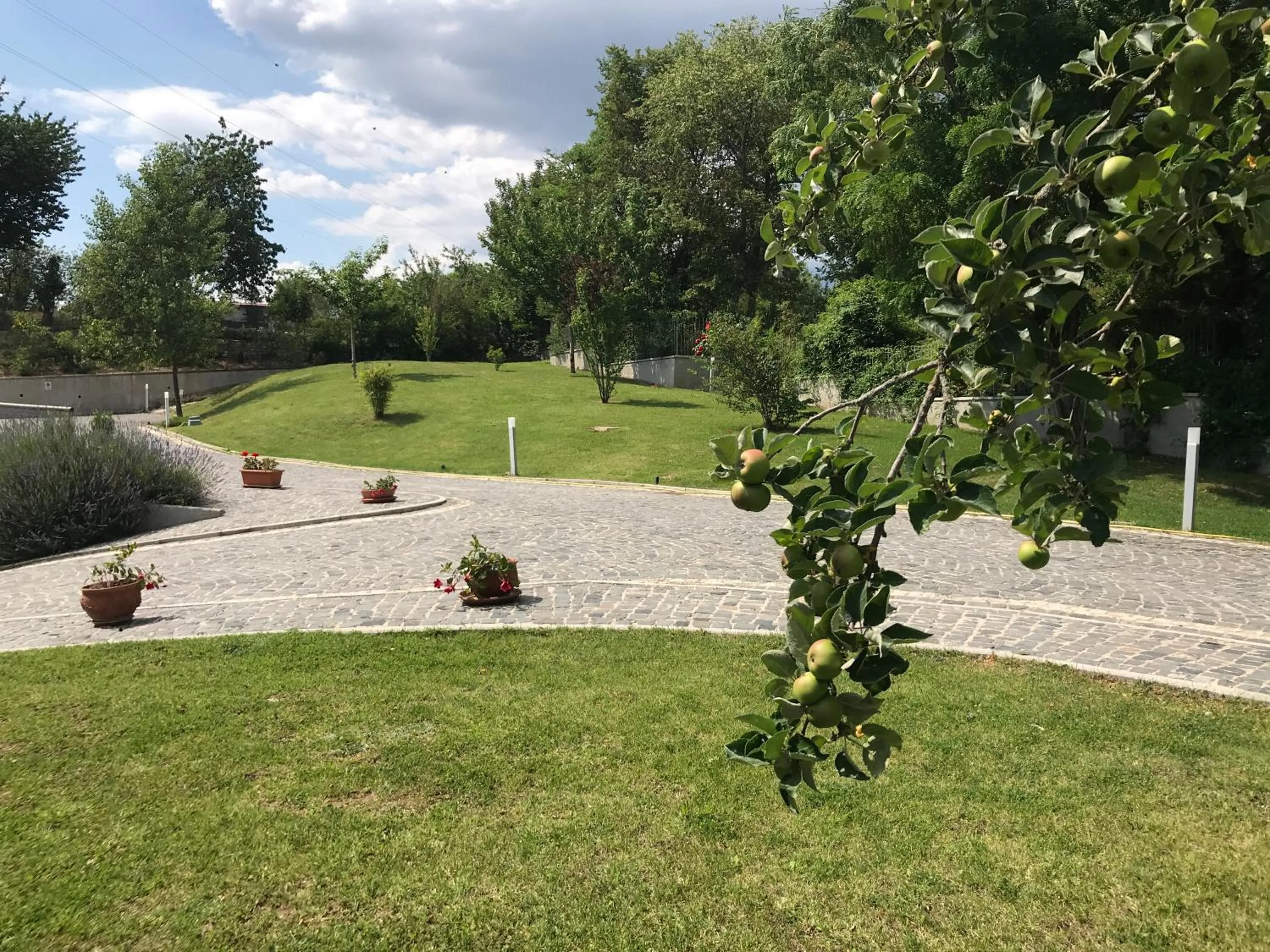 Garden in B&B Oasi Vetoio