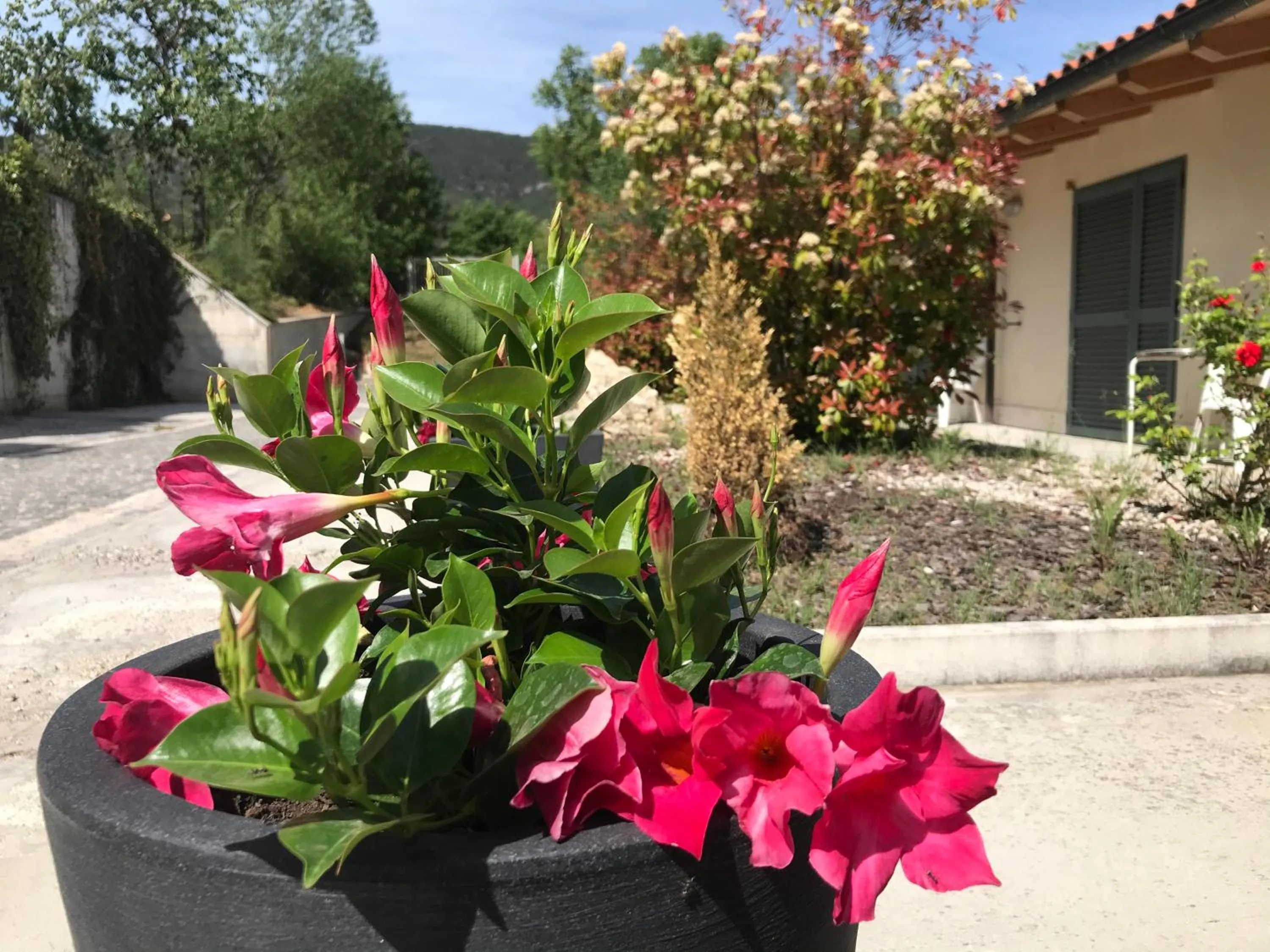 Decorative detail in B&B Oasi Vetoio