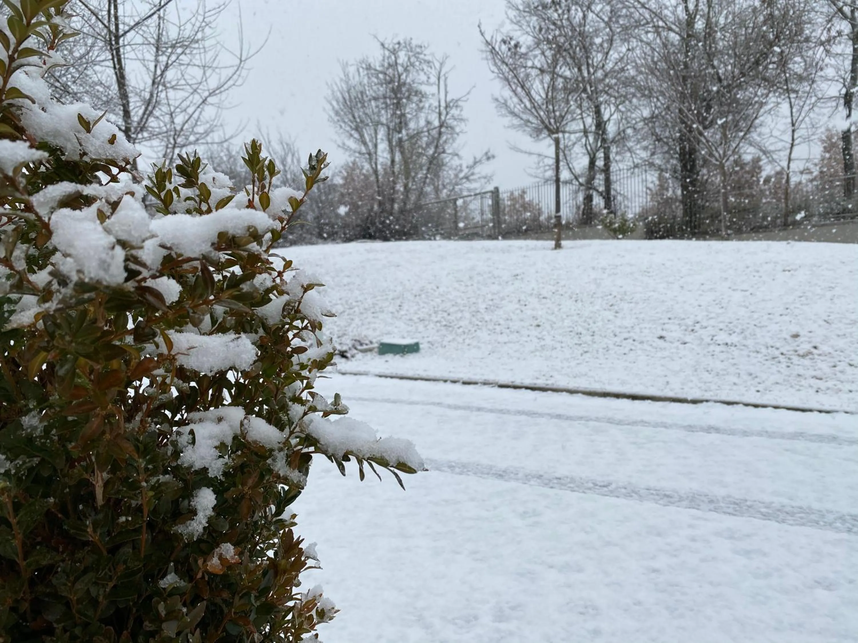 Natural landscape in B&B Oasi Vetoio