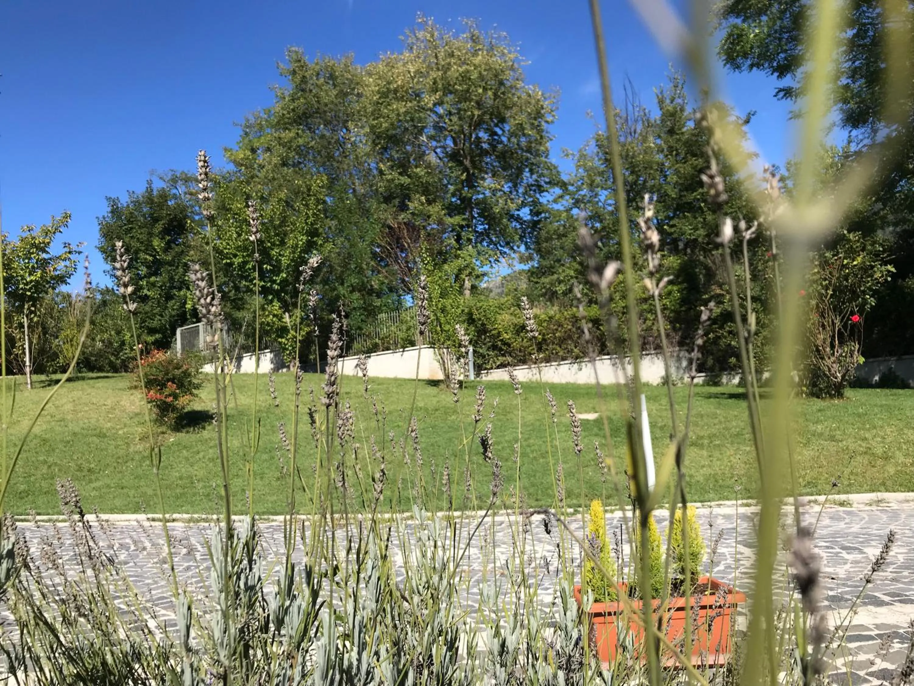 Garden in B&B Oasi Vetoio