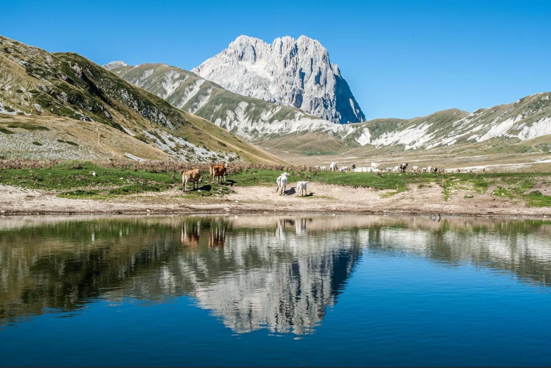 Natural landscape in B&B Oasi Vetoio