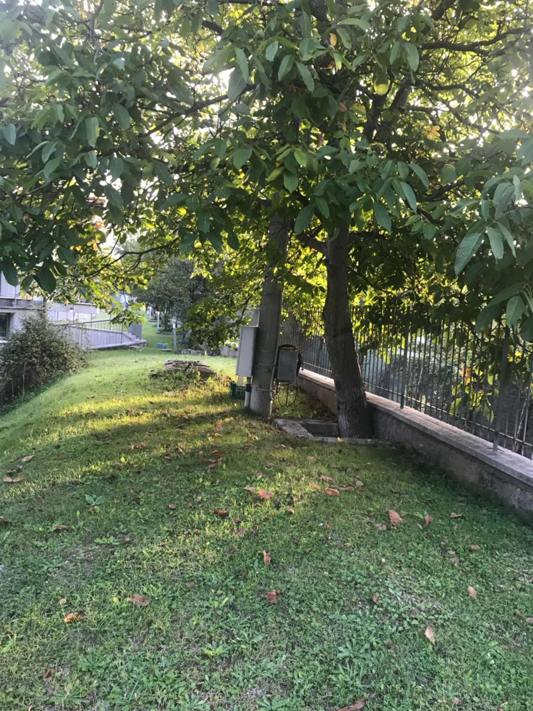 Garden in B&B Oasi Vetoio