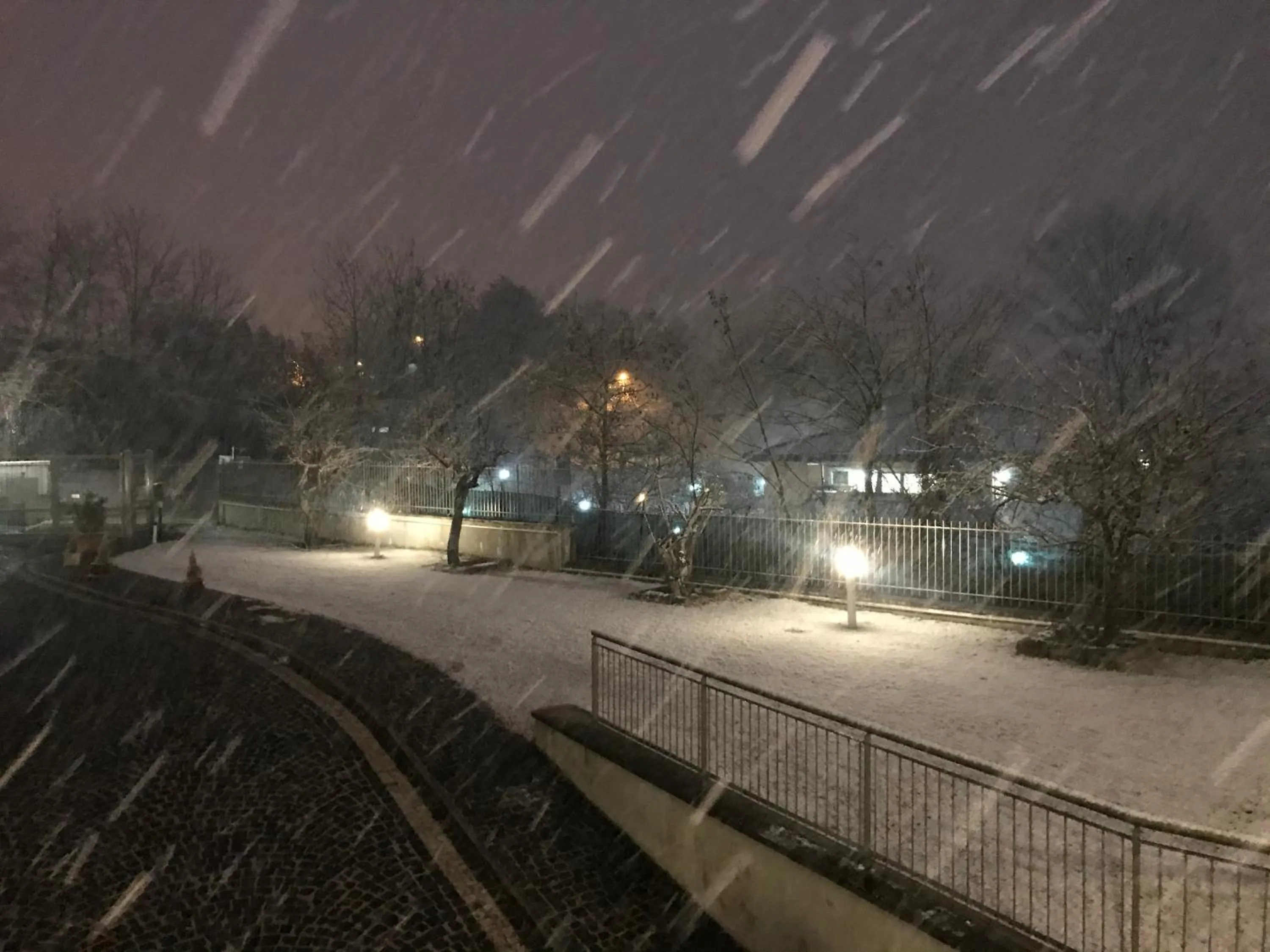 Garden view in B&B Oasi Vetoio