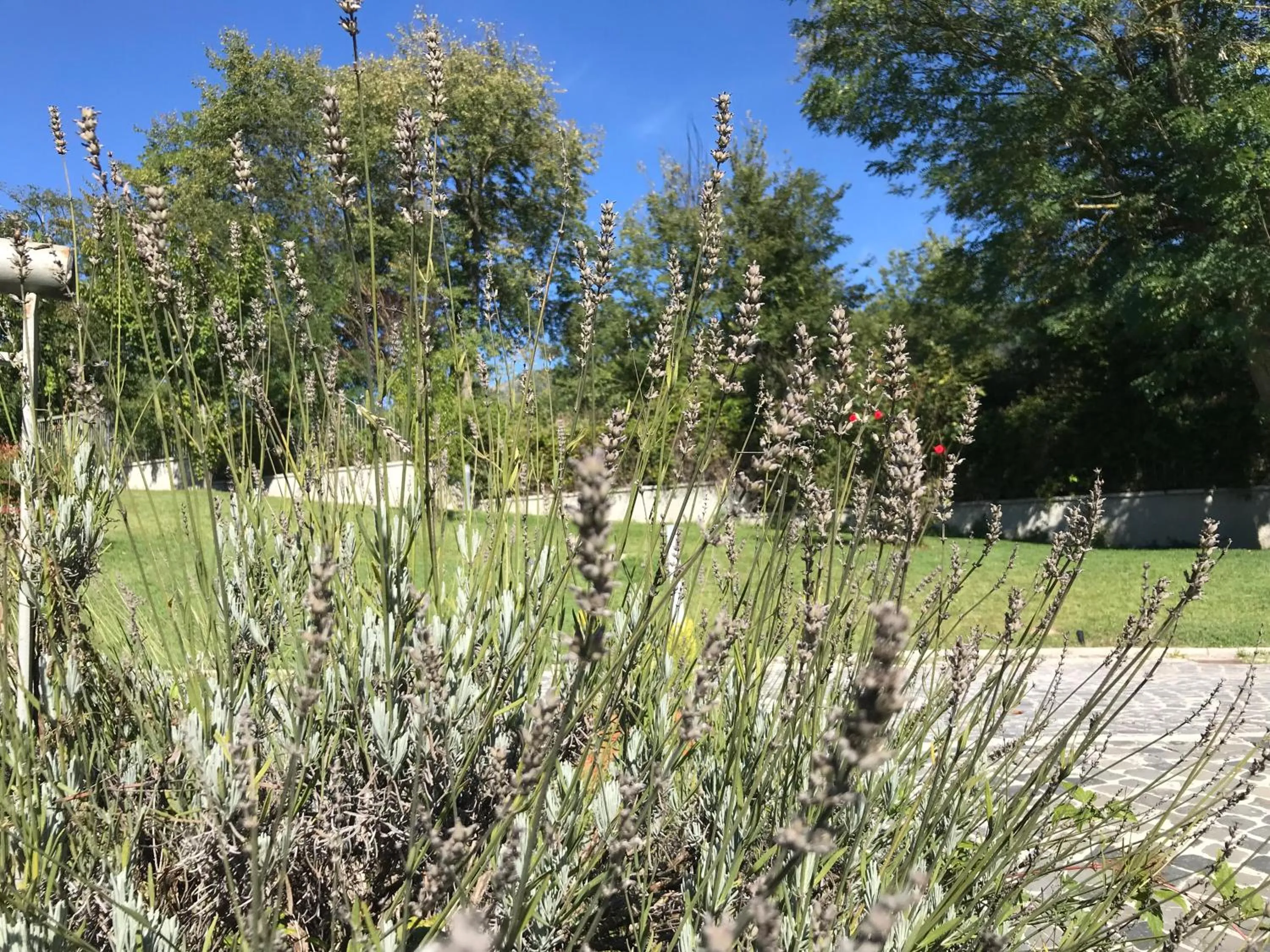 Garden in B&B Oasi Vetoio