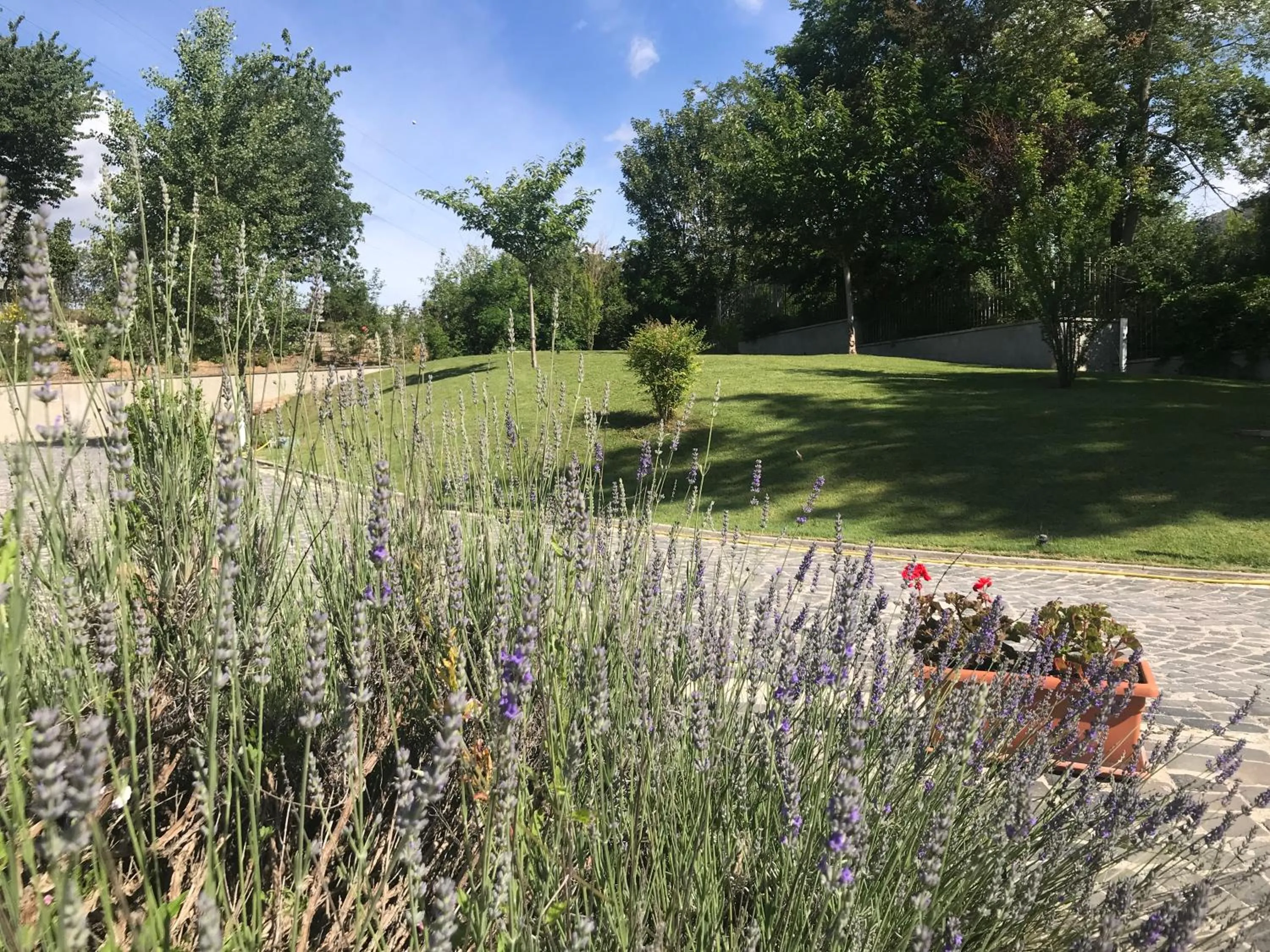 Garden in B&B Oasi Vetoio