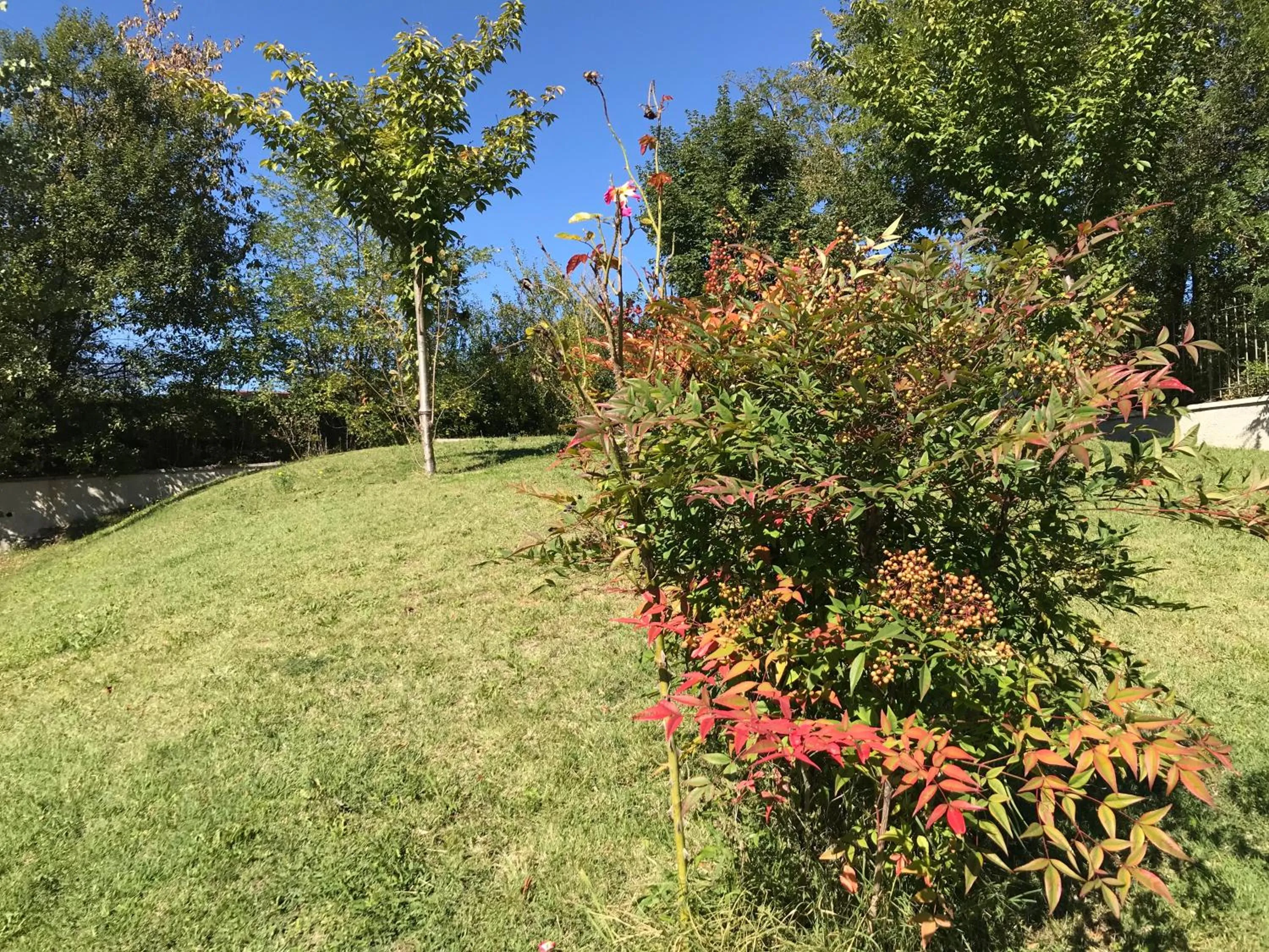 Garden in B&B Oasi Vetoio