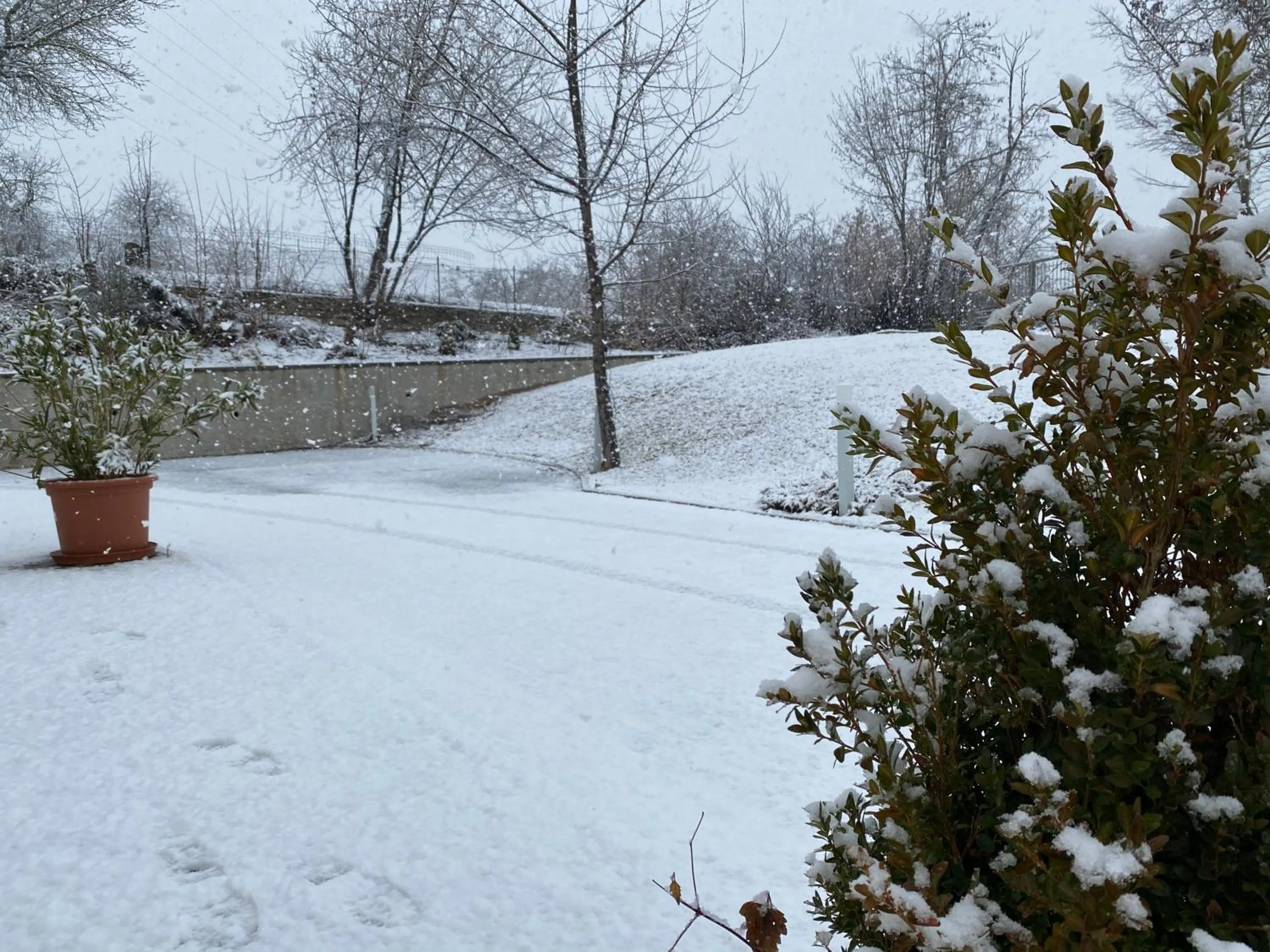 Natural landscape in B&B Oasi Vetoio