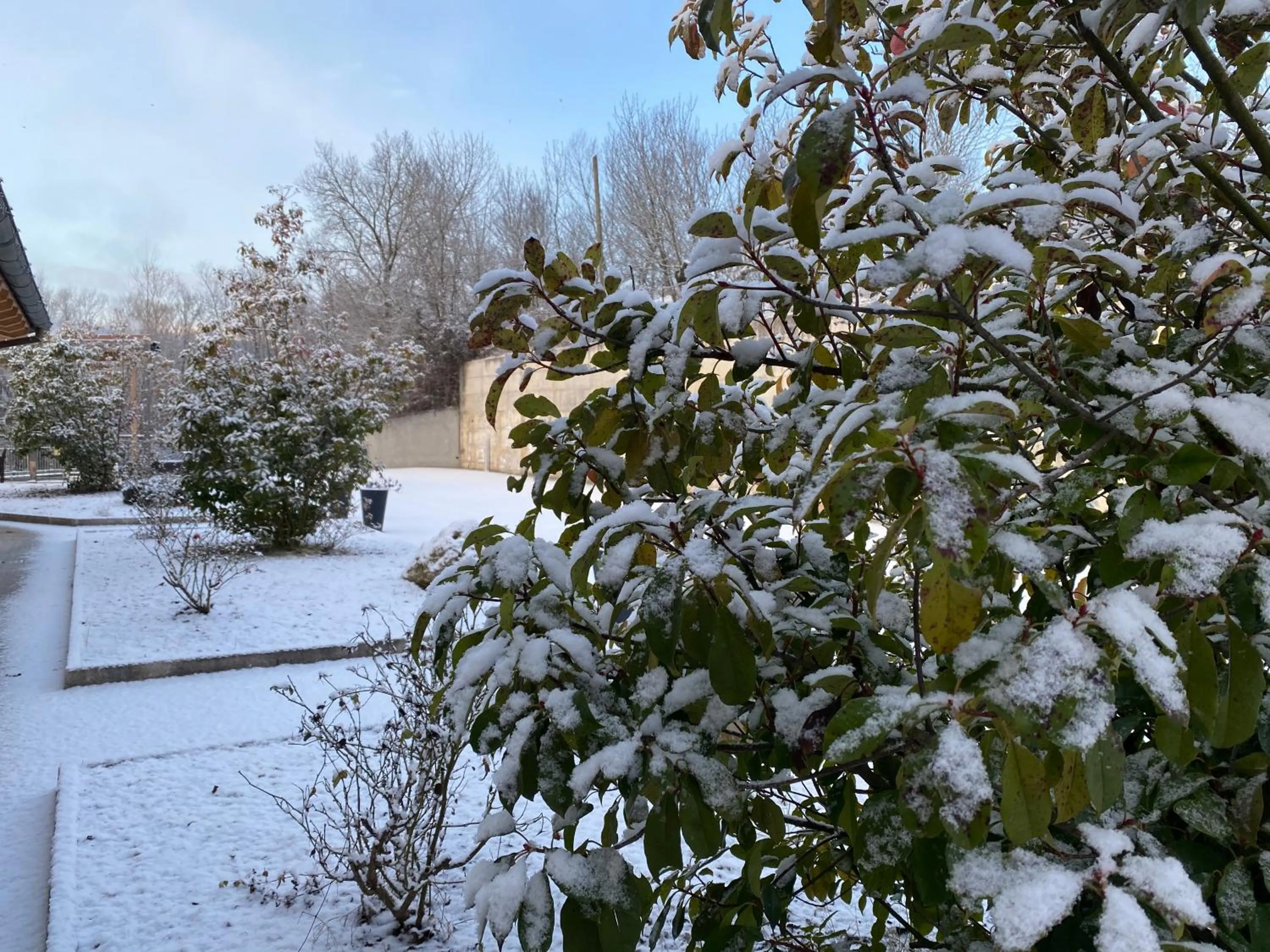Natural landscape in B&B Oasi Vetoio