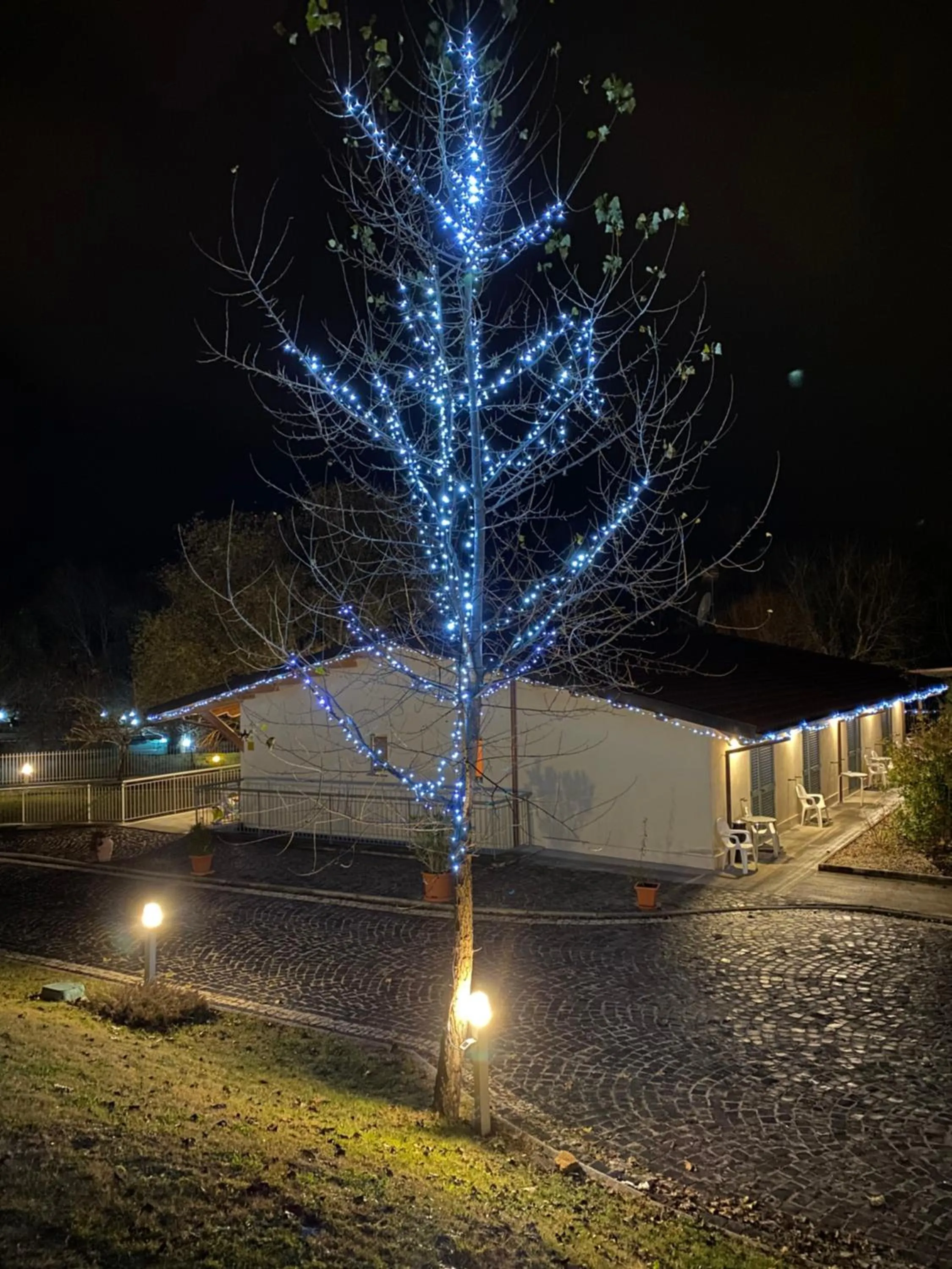 Winter in B&B Oasi Vetoio