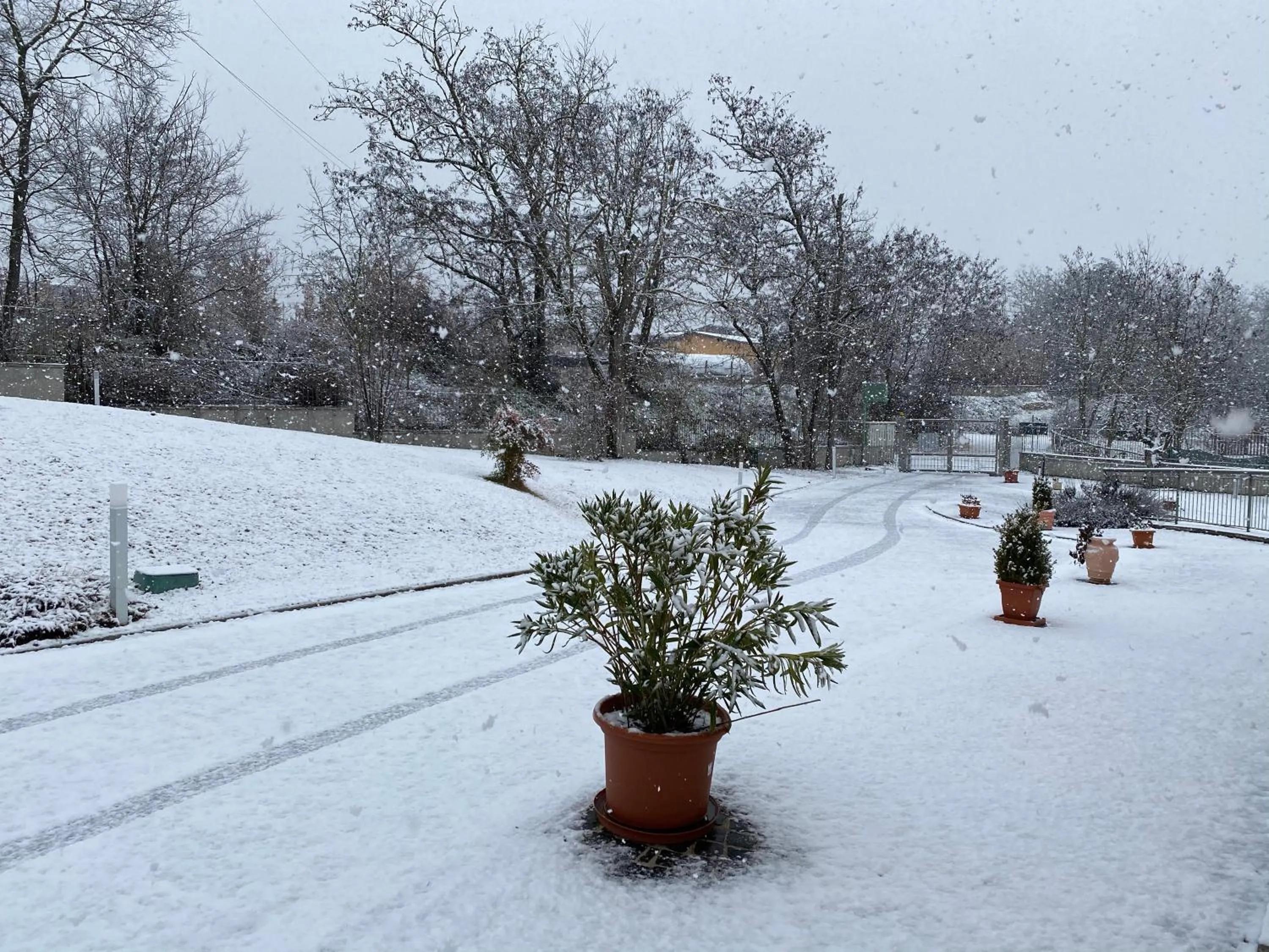 Natural landscape in B&B Oasi Vetoio