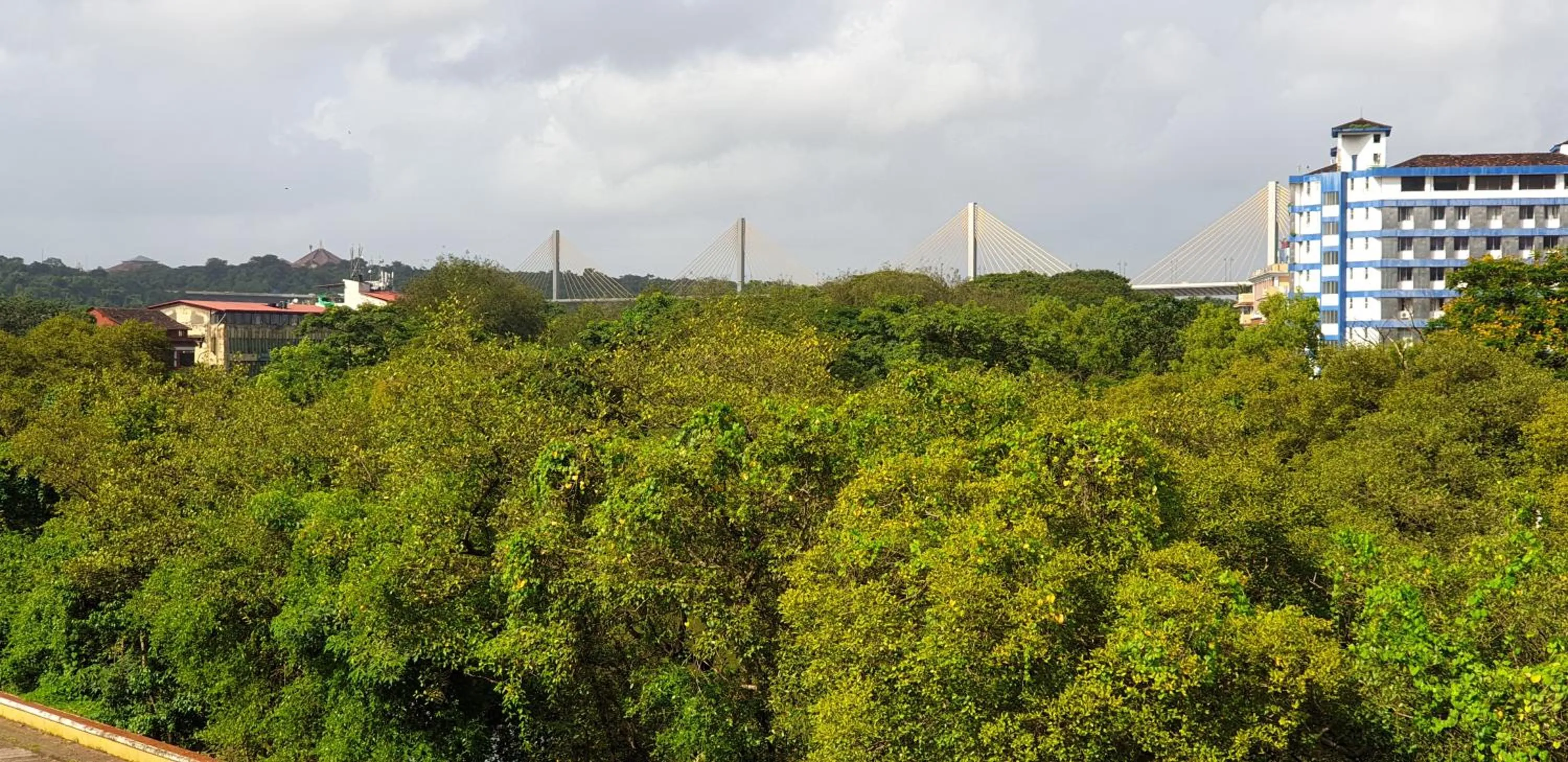 City view in Ria Residency