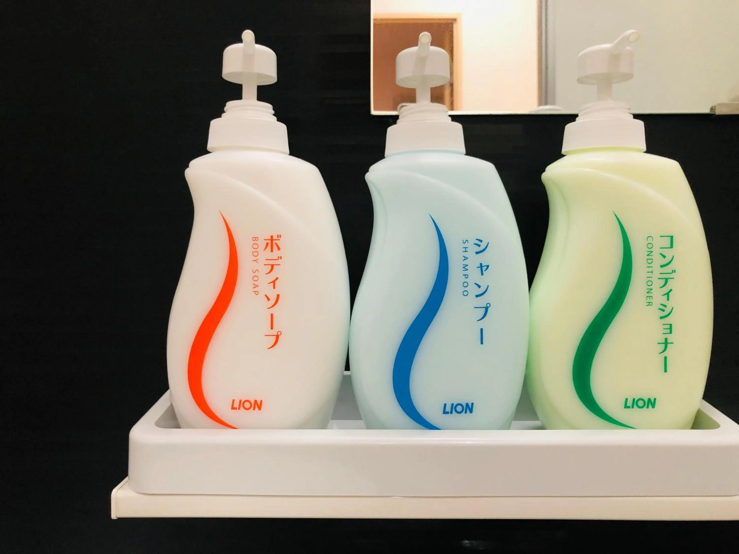 Bathroom in I・ecoⅢ（アイエコスリー）