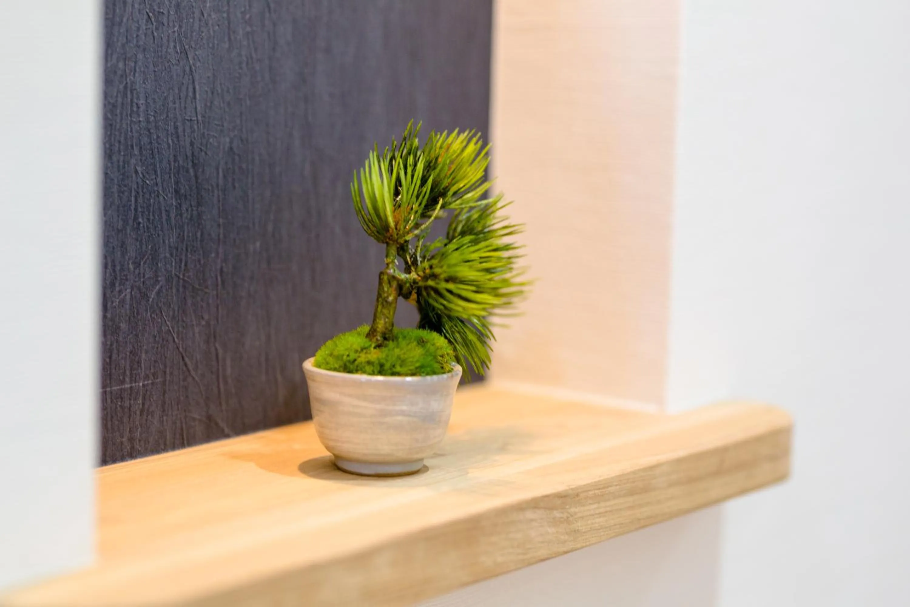 Decorative detail in FUJI-AKATSUKI Kuu