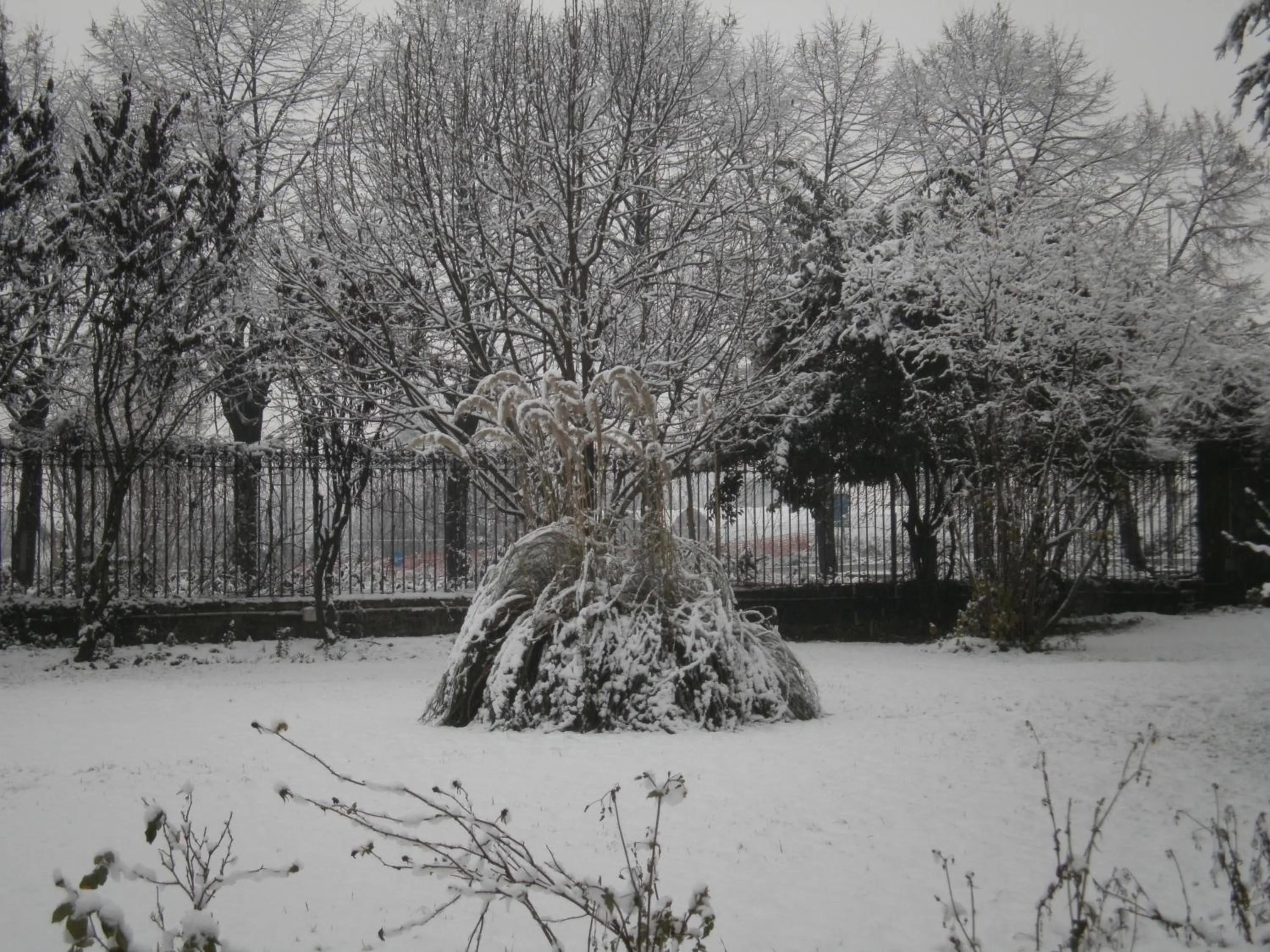 Winter in Albergo Villa & Roma