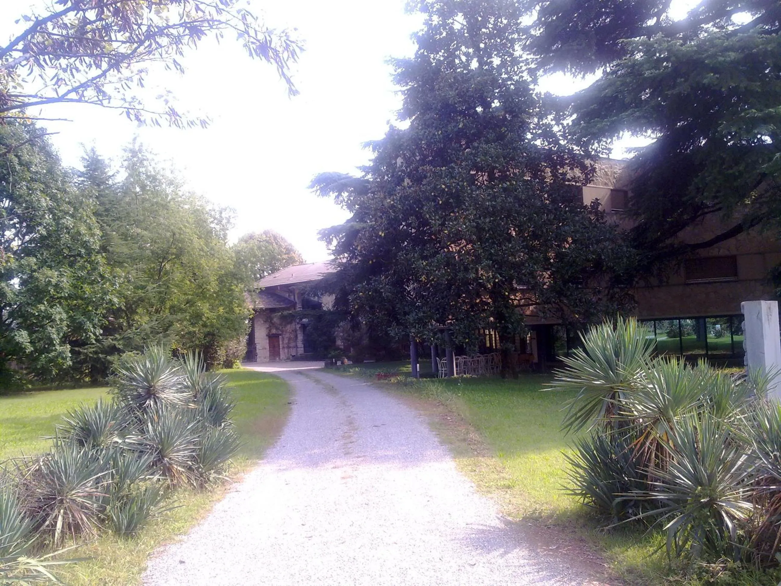 Facade/entrance in Albergo Villa & Roma