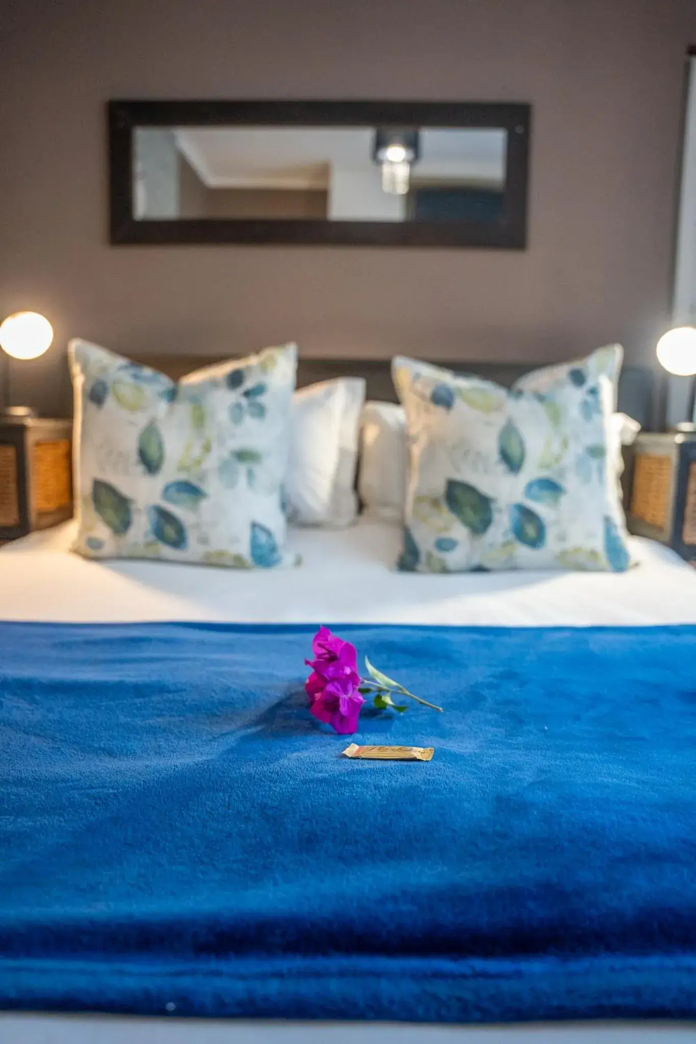 Suite - single occupancy in Palm Tree Manor Suite - single occupancy in Palm Tree Manor