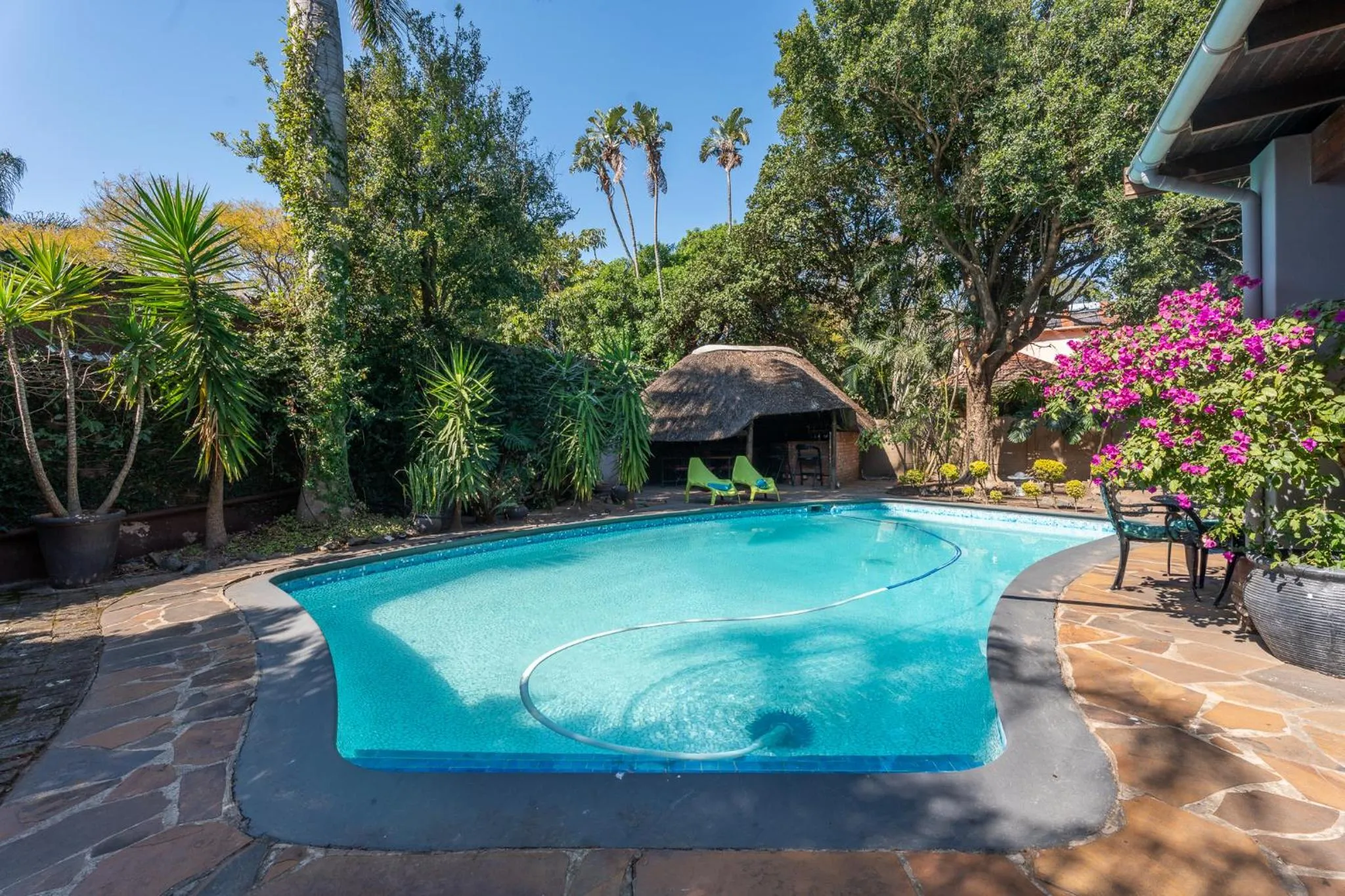 Swimming pool in Palm Tree Manor