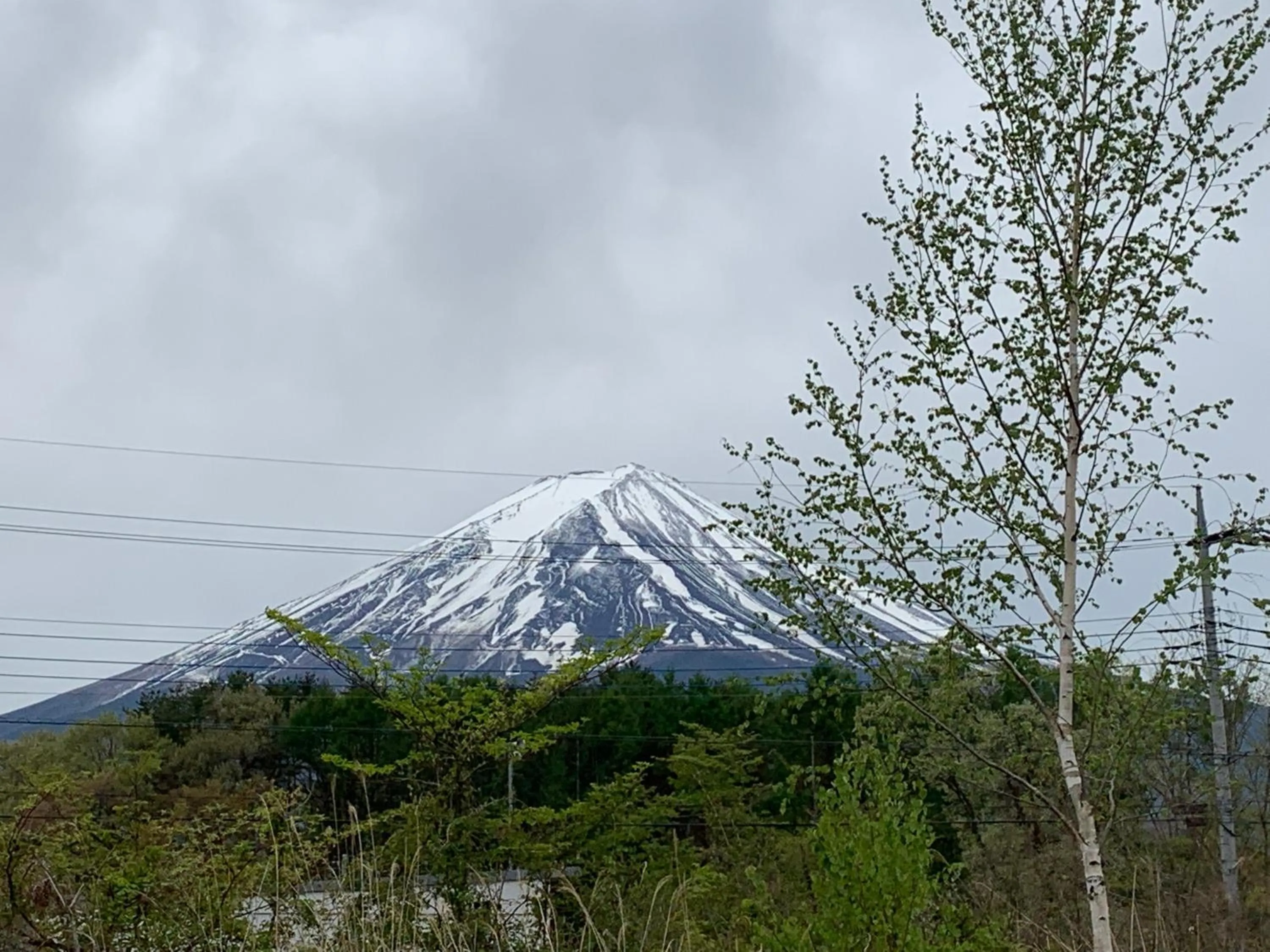 Natural landscape in 22 ORIYA Mt Fuji -錦NISHIKI-