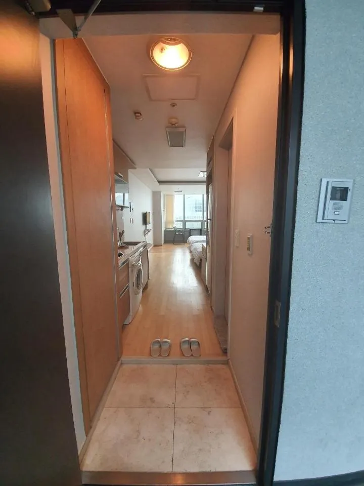 Photo of the whole room in Treehouse