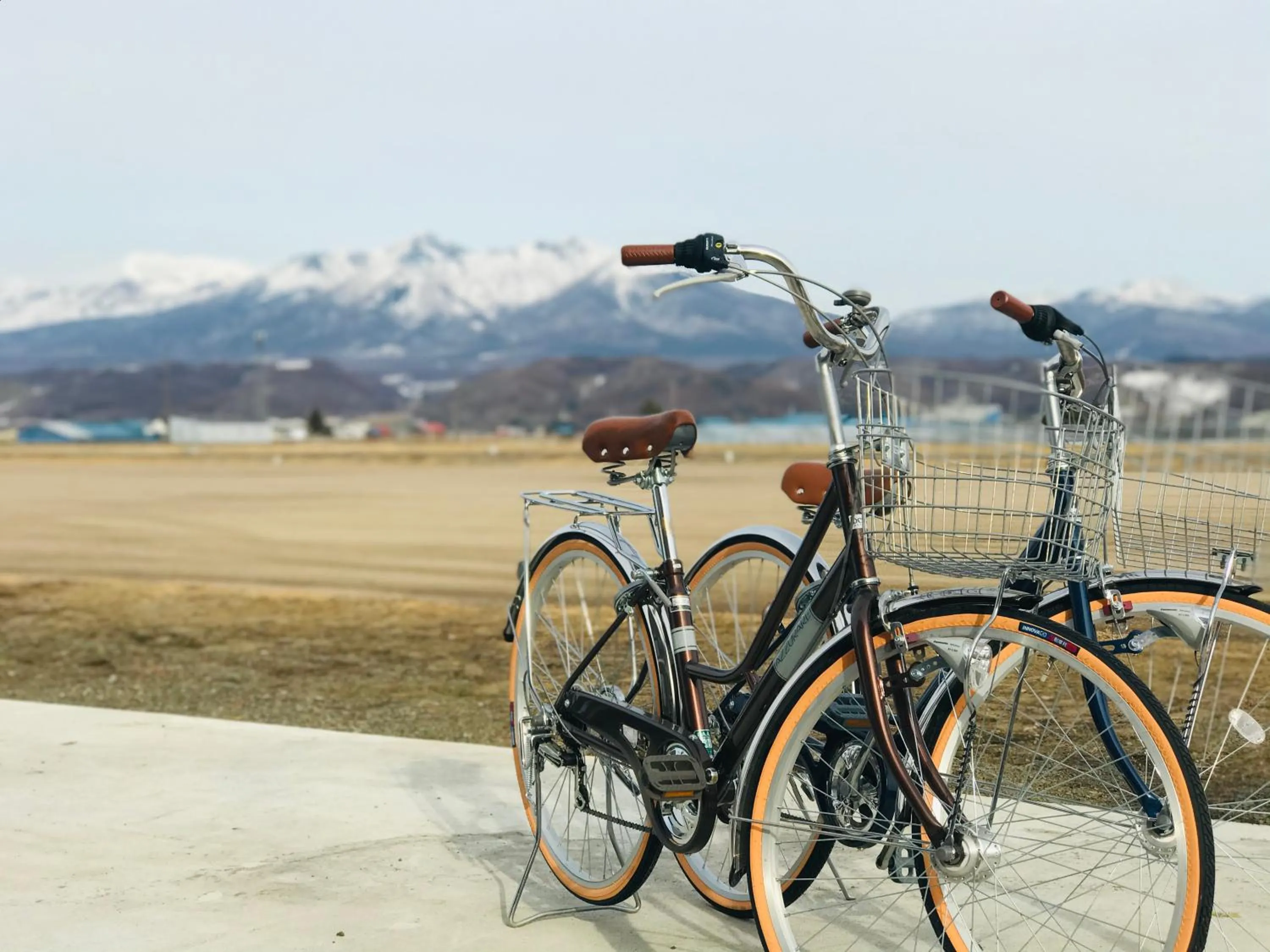 Spring in Shooting Star the Bed & Breakfast