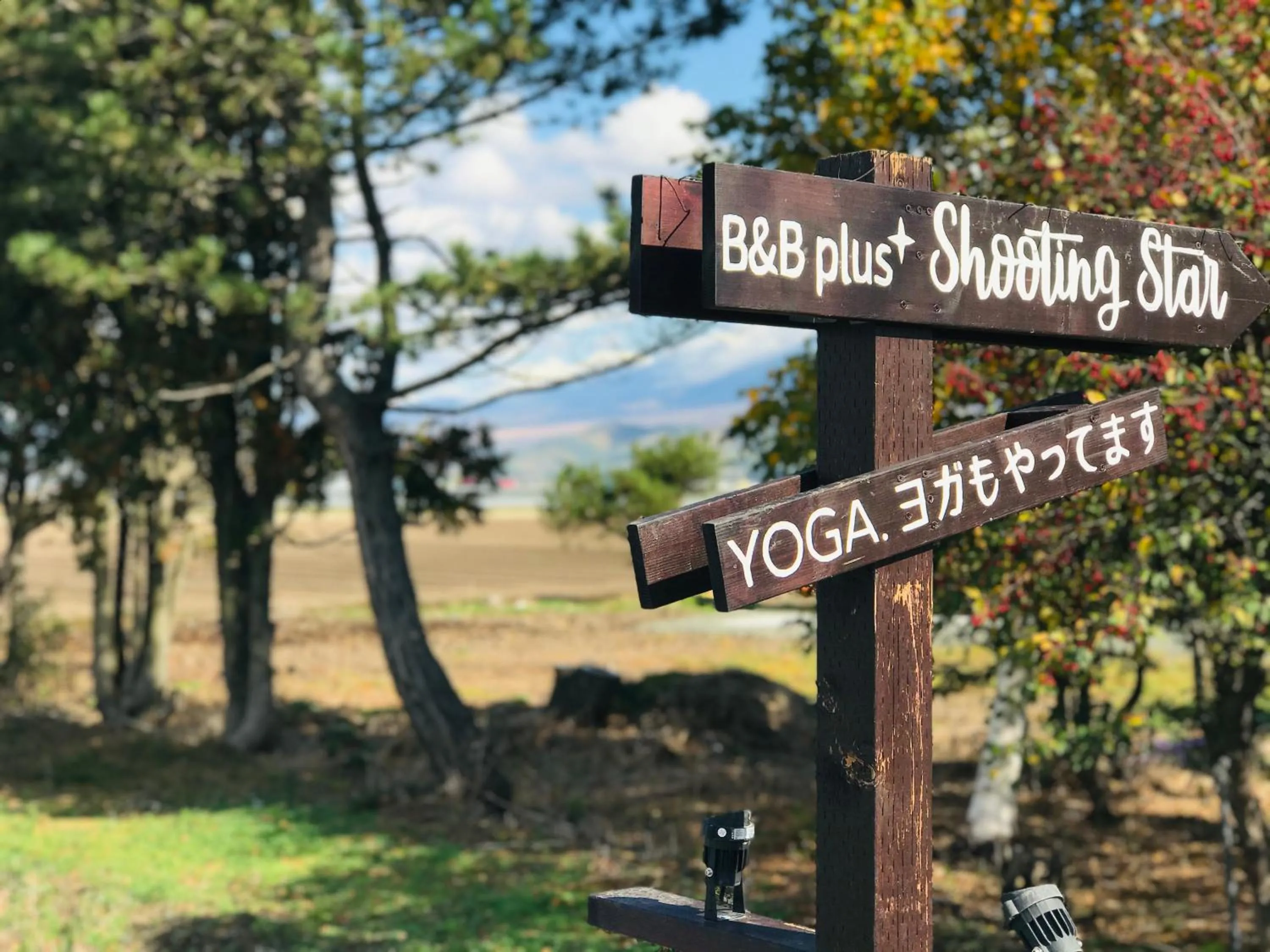 Activities in Shooting Star the Bed & Breakfast