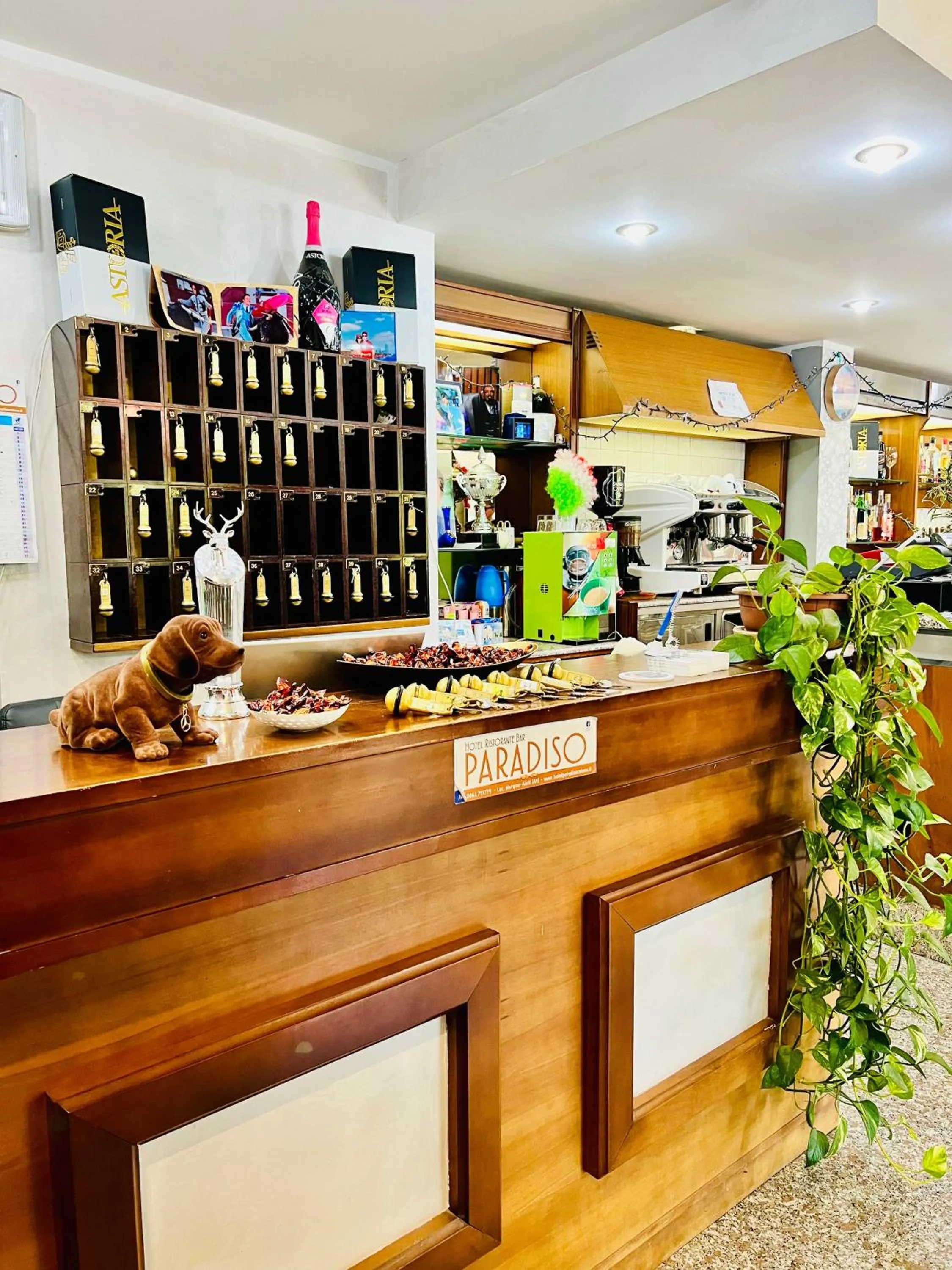 Lobby or reception in Hotel Paradiso