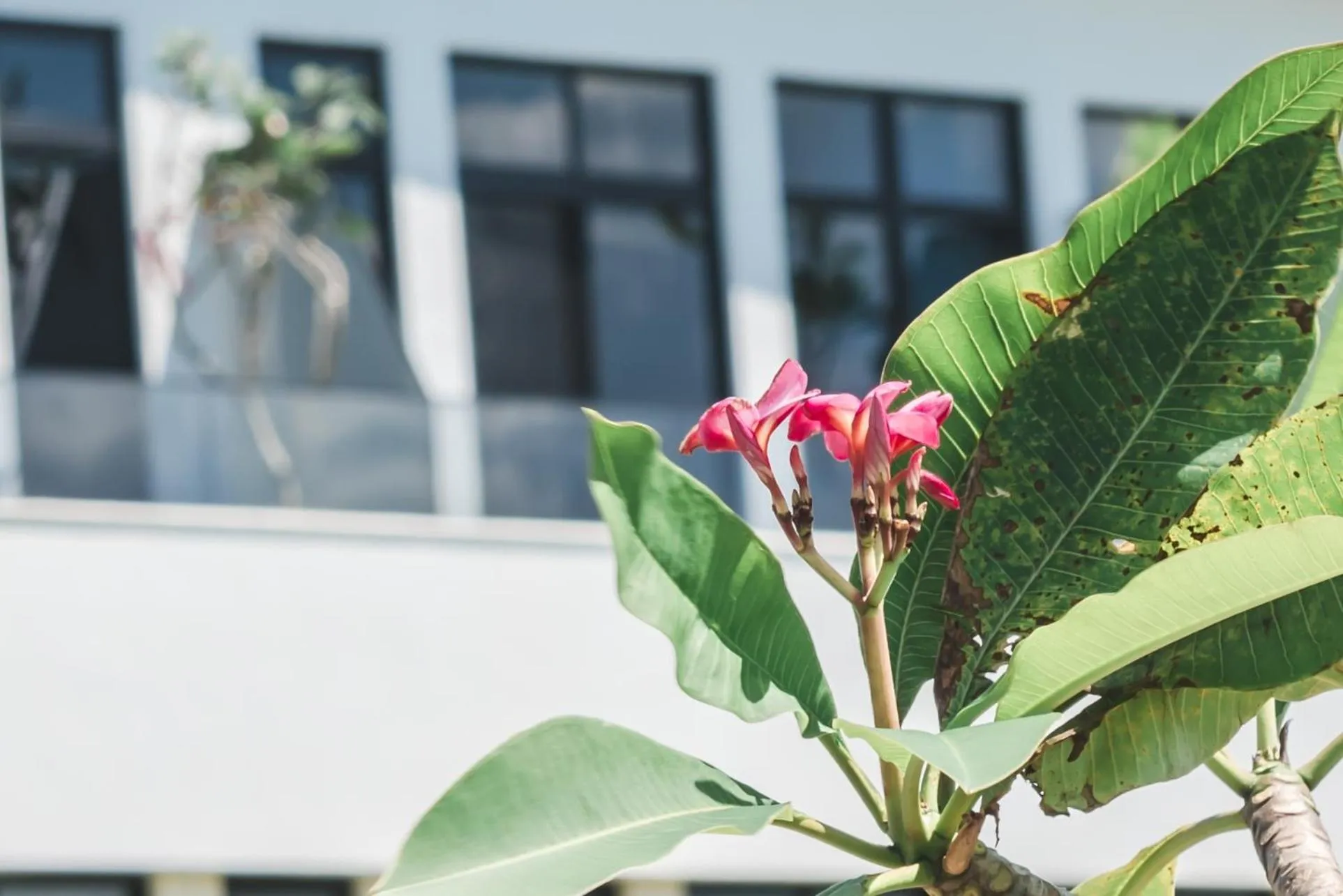 Property building in Cloud 9 Panorama