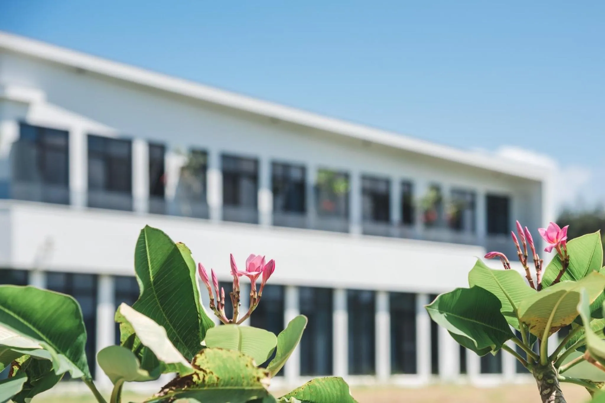 Property building in Cloud 9 Panorama