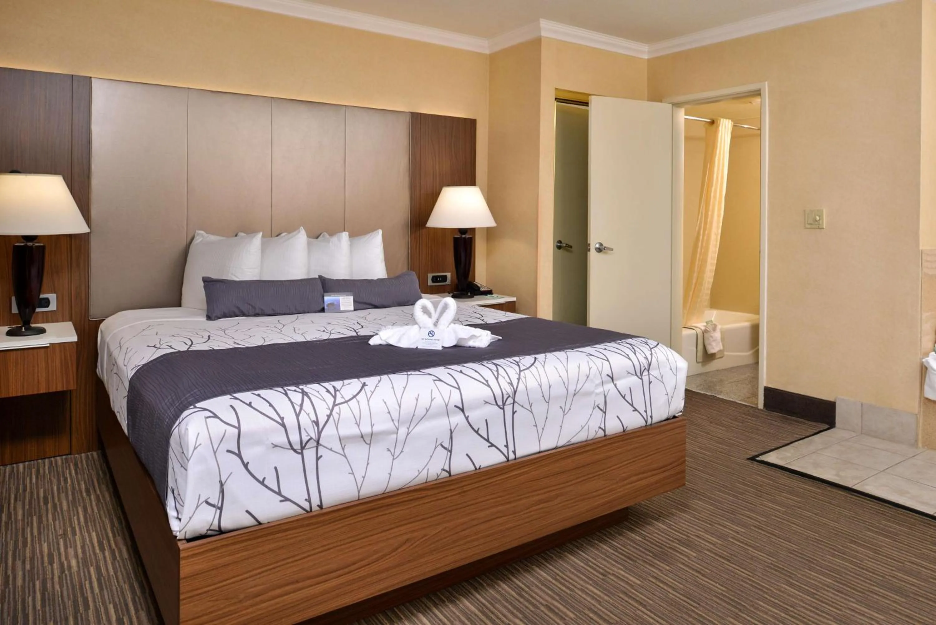 Photo of the whole room, Bed in Best Western Hollywood Plaza Inn Hotel - Hollywood Walk of Fame LA