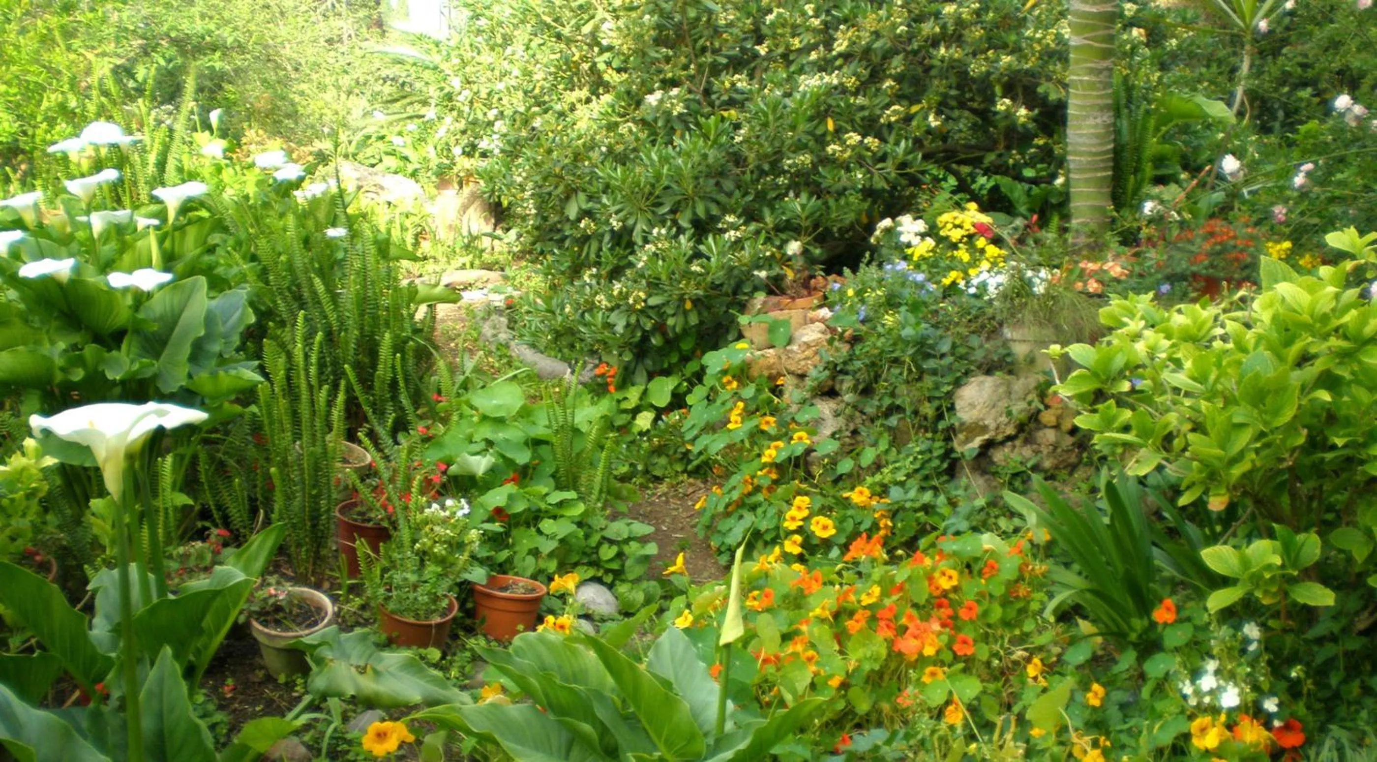 Garden in Il Glicine La Piana dei Colli