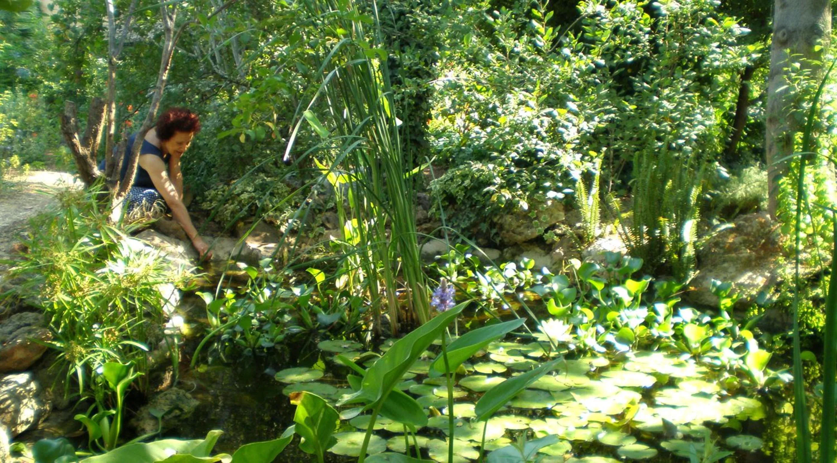 Garden in Il Glicine La Piana dei Colli