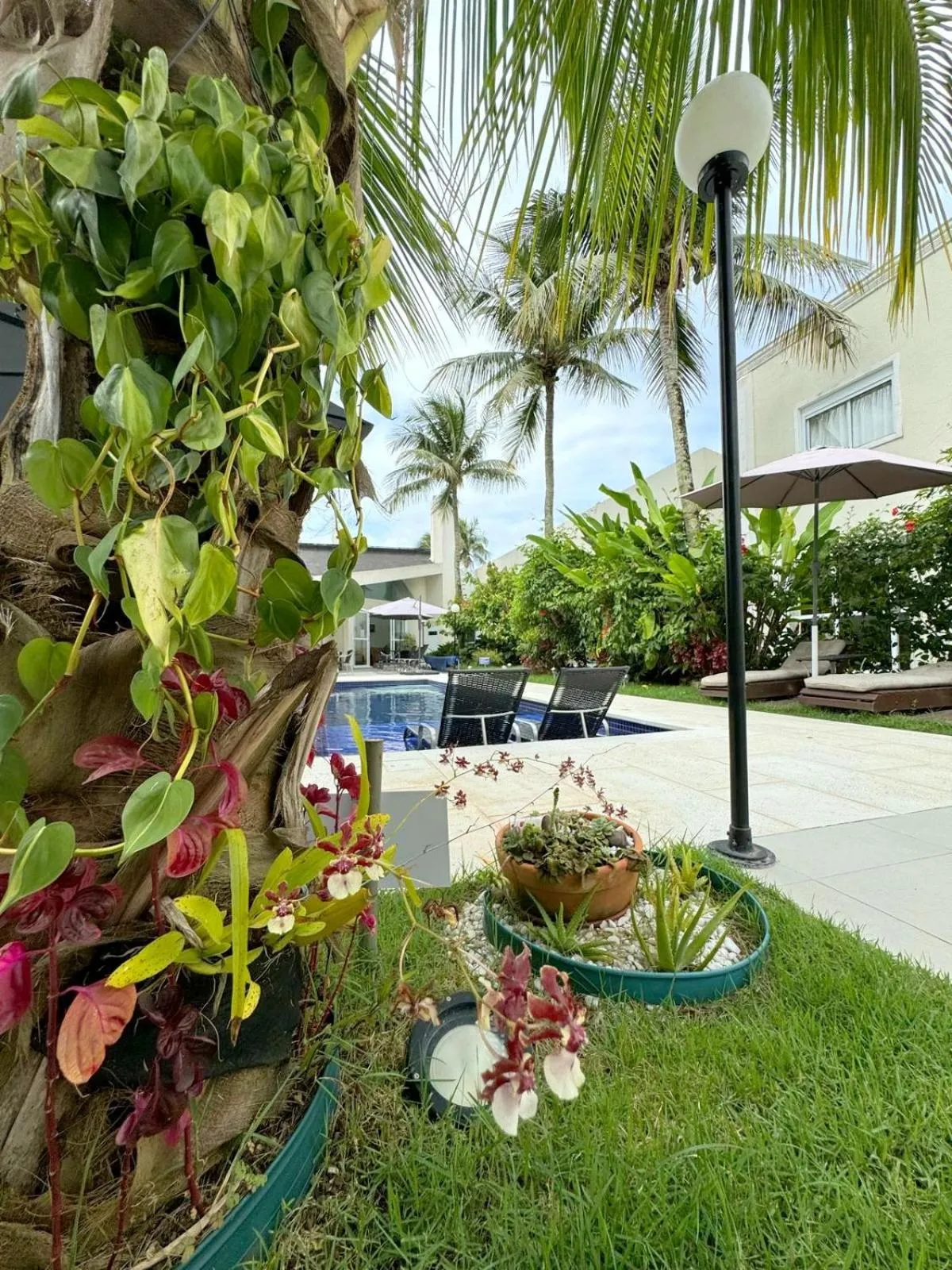 Garden in Pousada Village Cozumel