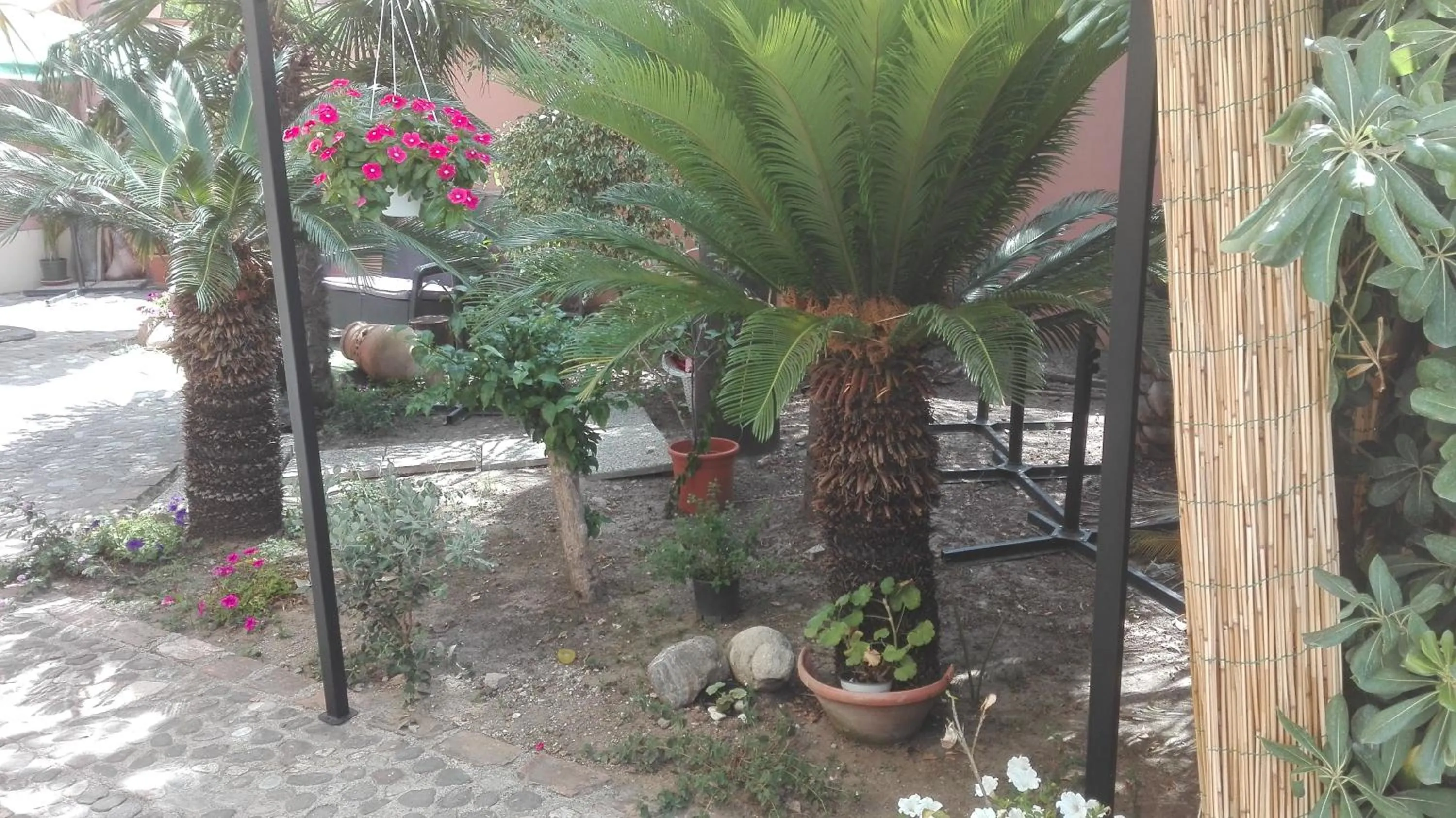 Garden in Casantica Turismo Rurale