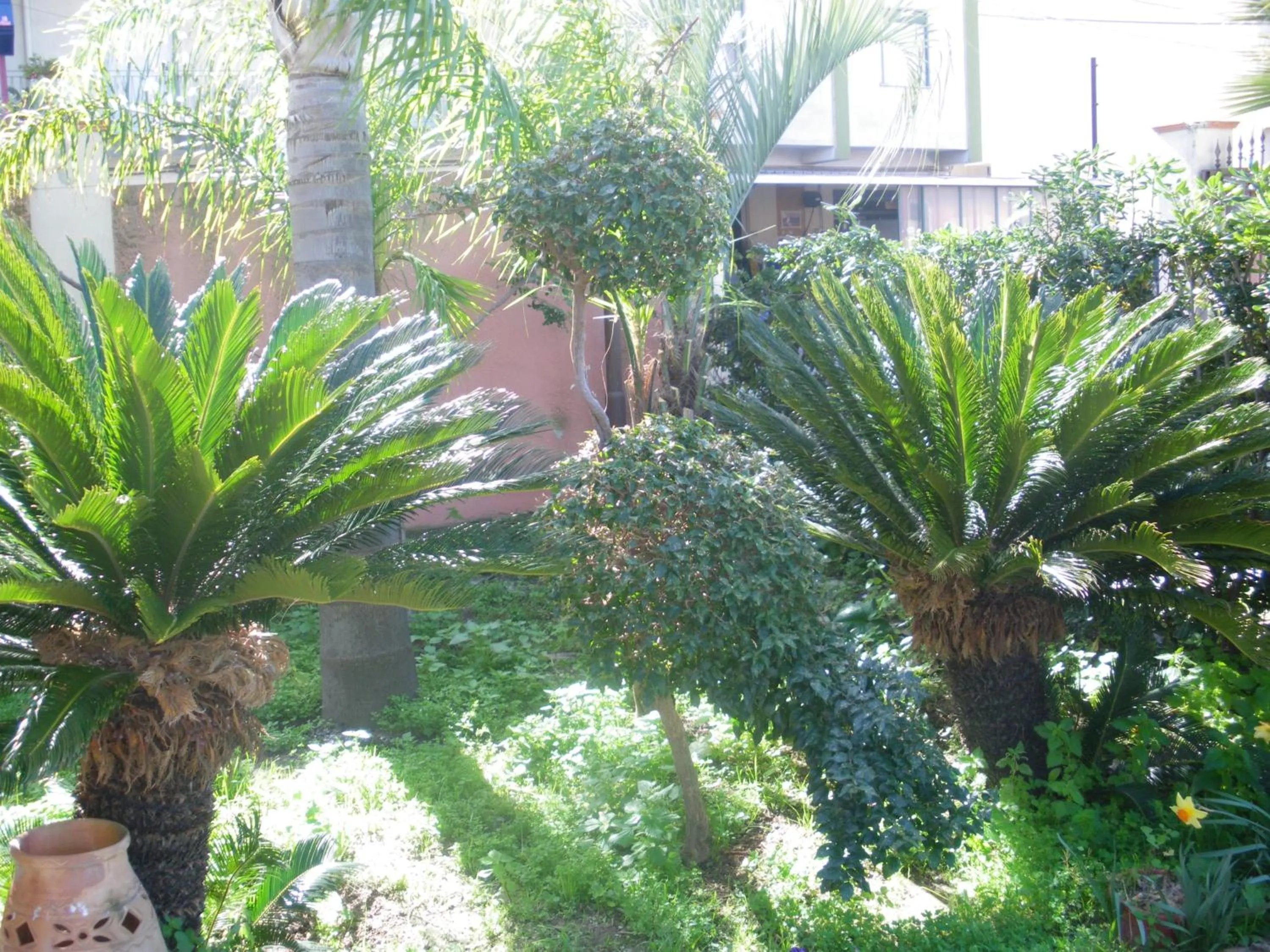 Garden in Casantica Turismo Rurale