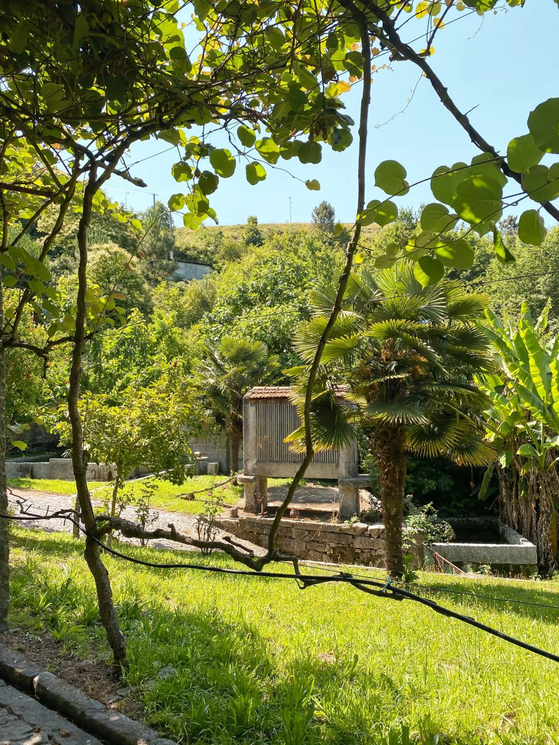 quarto familiar zona guimaraes