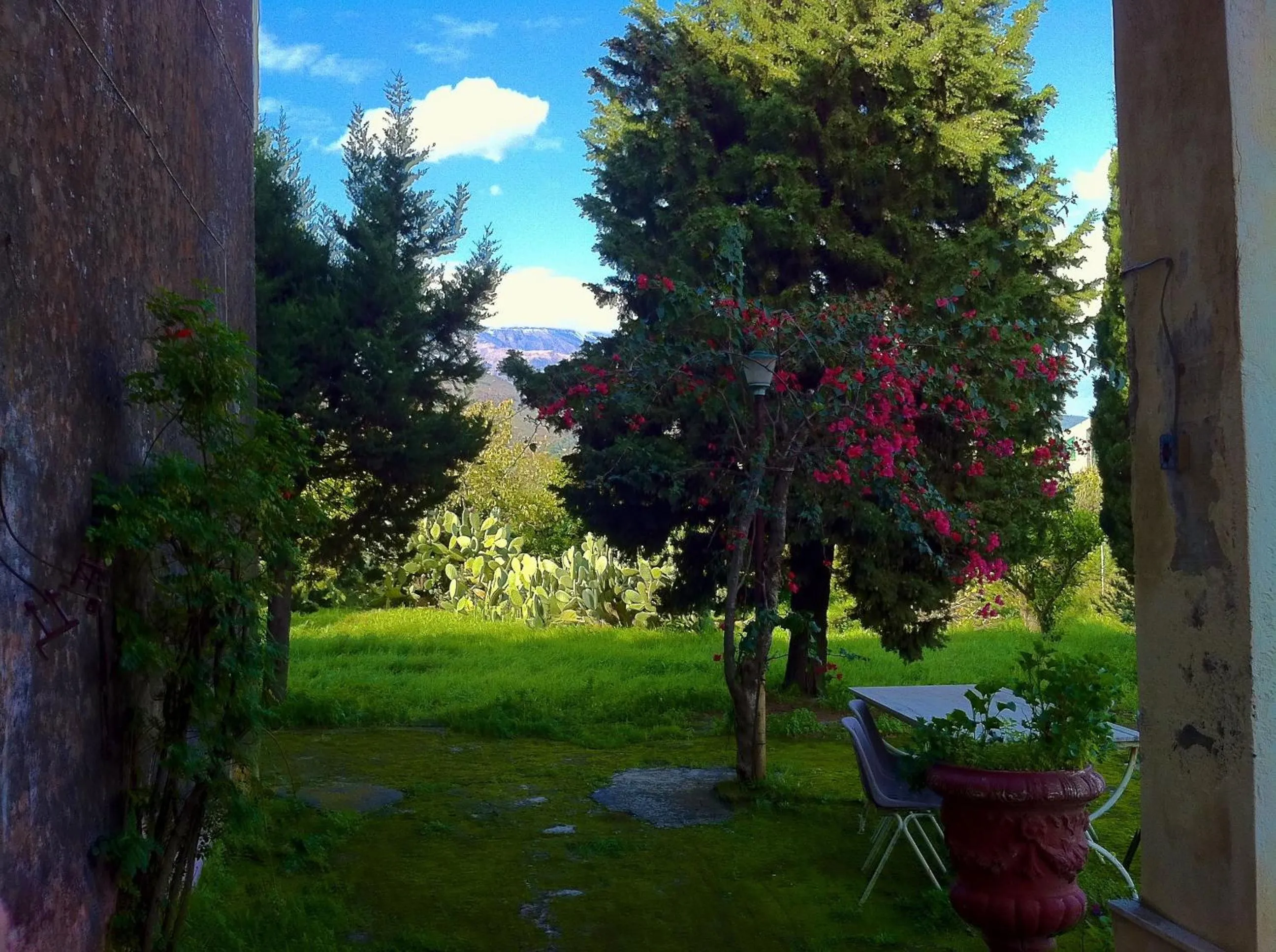 Garden in Villa Bonaccorso - antica e maestosa villa con piscina ai piedi dell'Etna