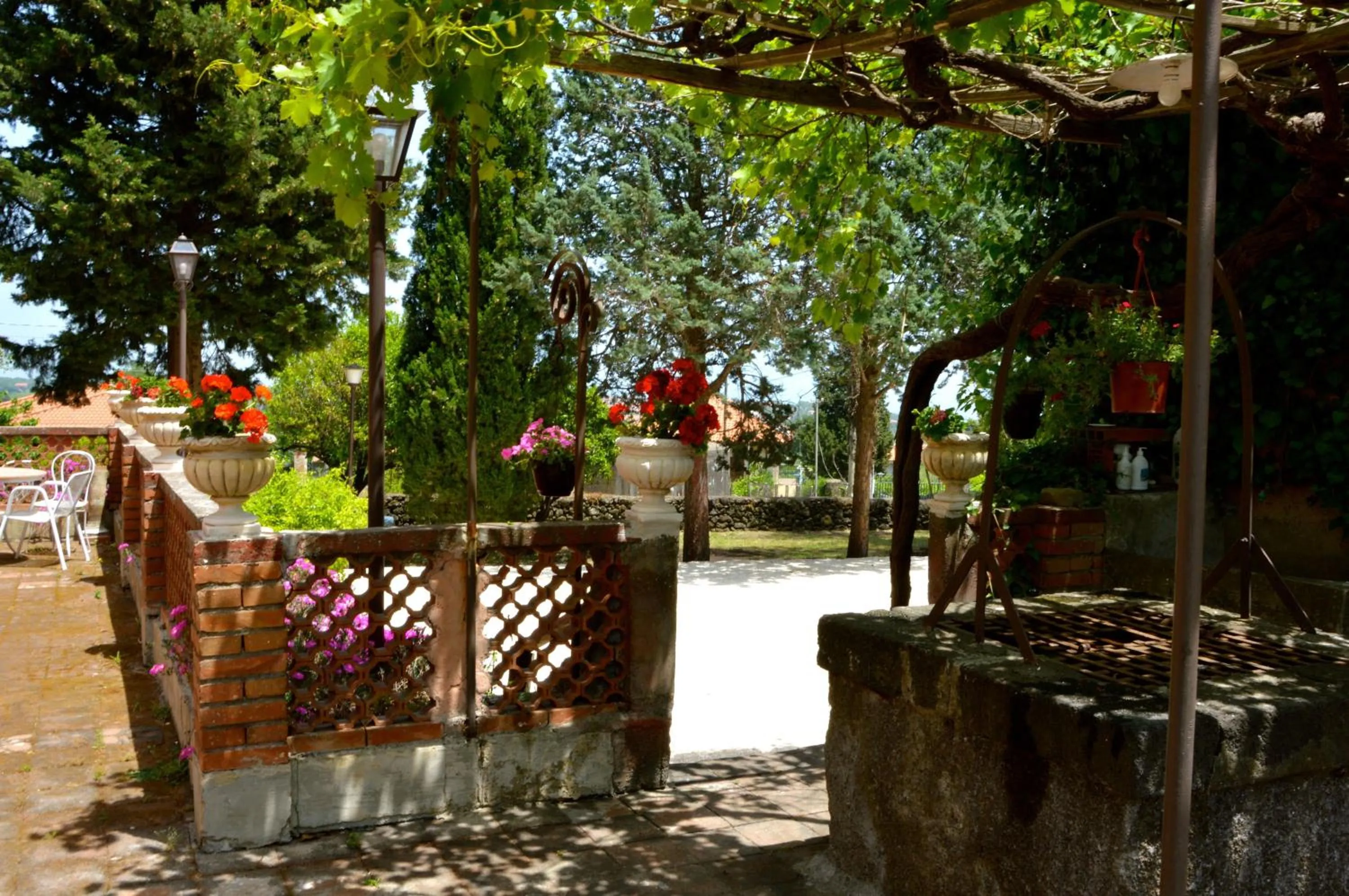 Garden in Villa Bonaccorso - antica e maestosa villa con piscina ai piedi dell'Etna