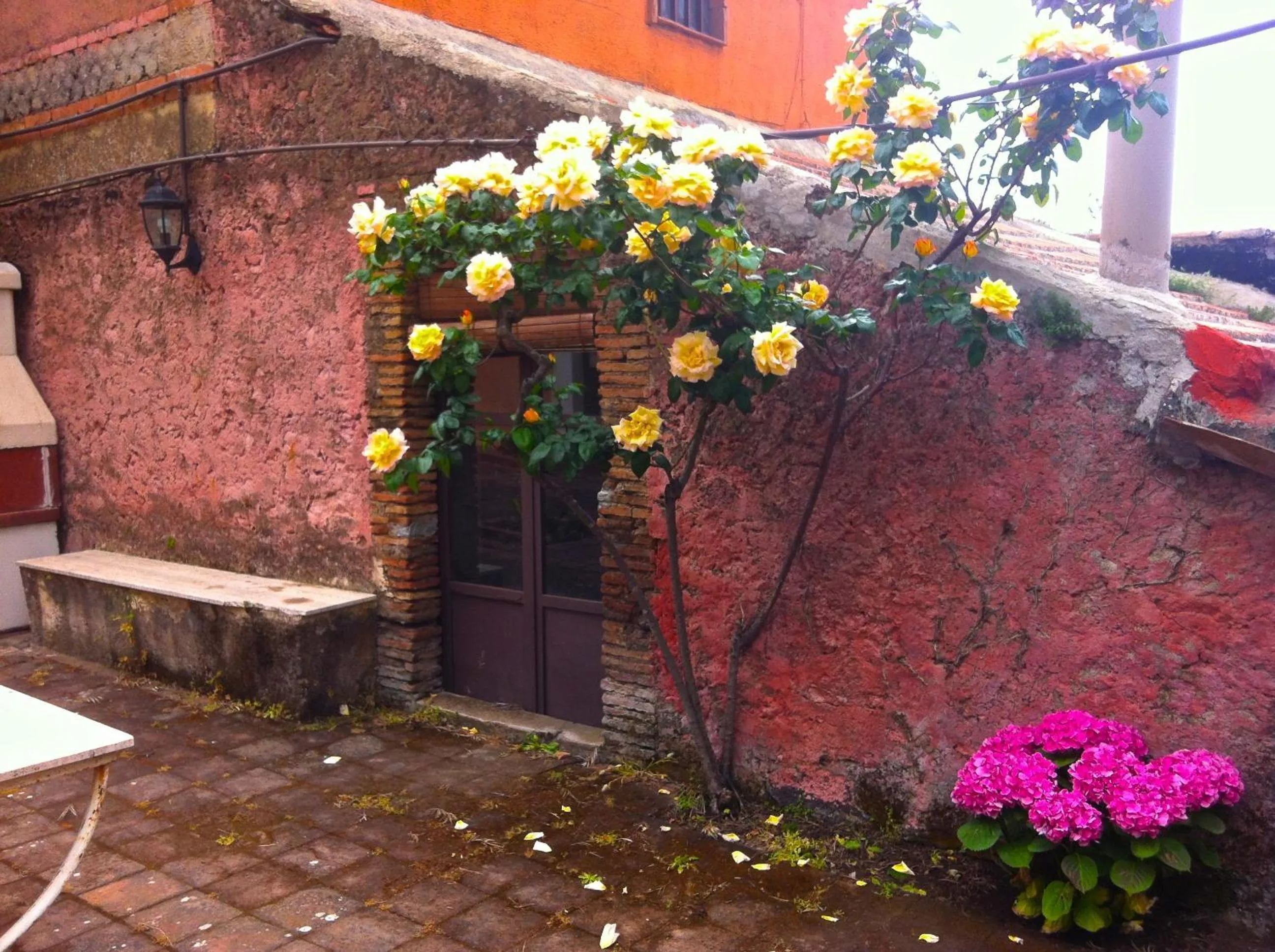 Garden in Villa Bonaccorso - antica e maestosa villa con piscina ai piedi dell'Etna