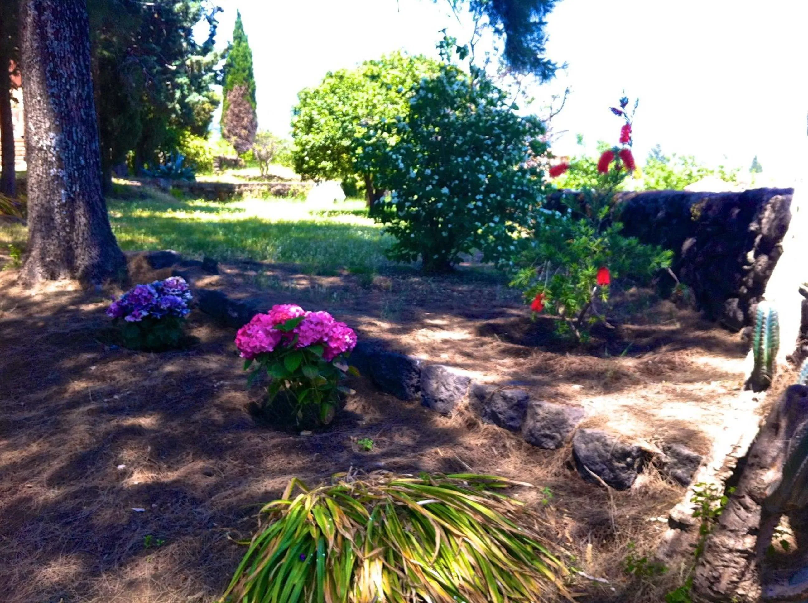 Garden in Villa Bonaccorso - antica e maestosa villa con piscina ai piedi dell'Etna
