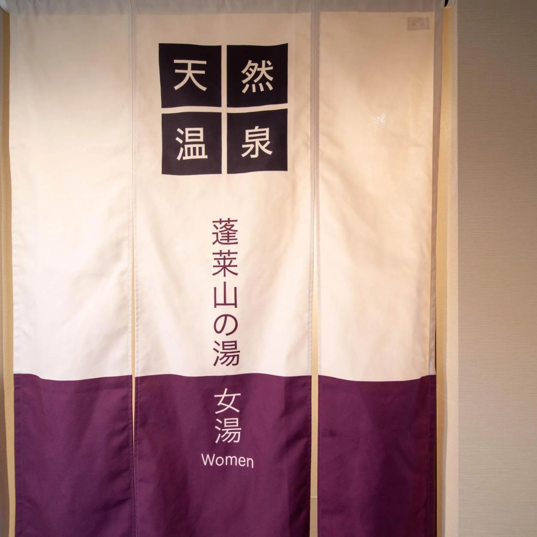 Super Hotel Echizen Takefu